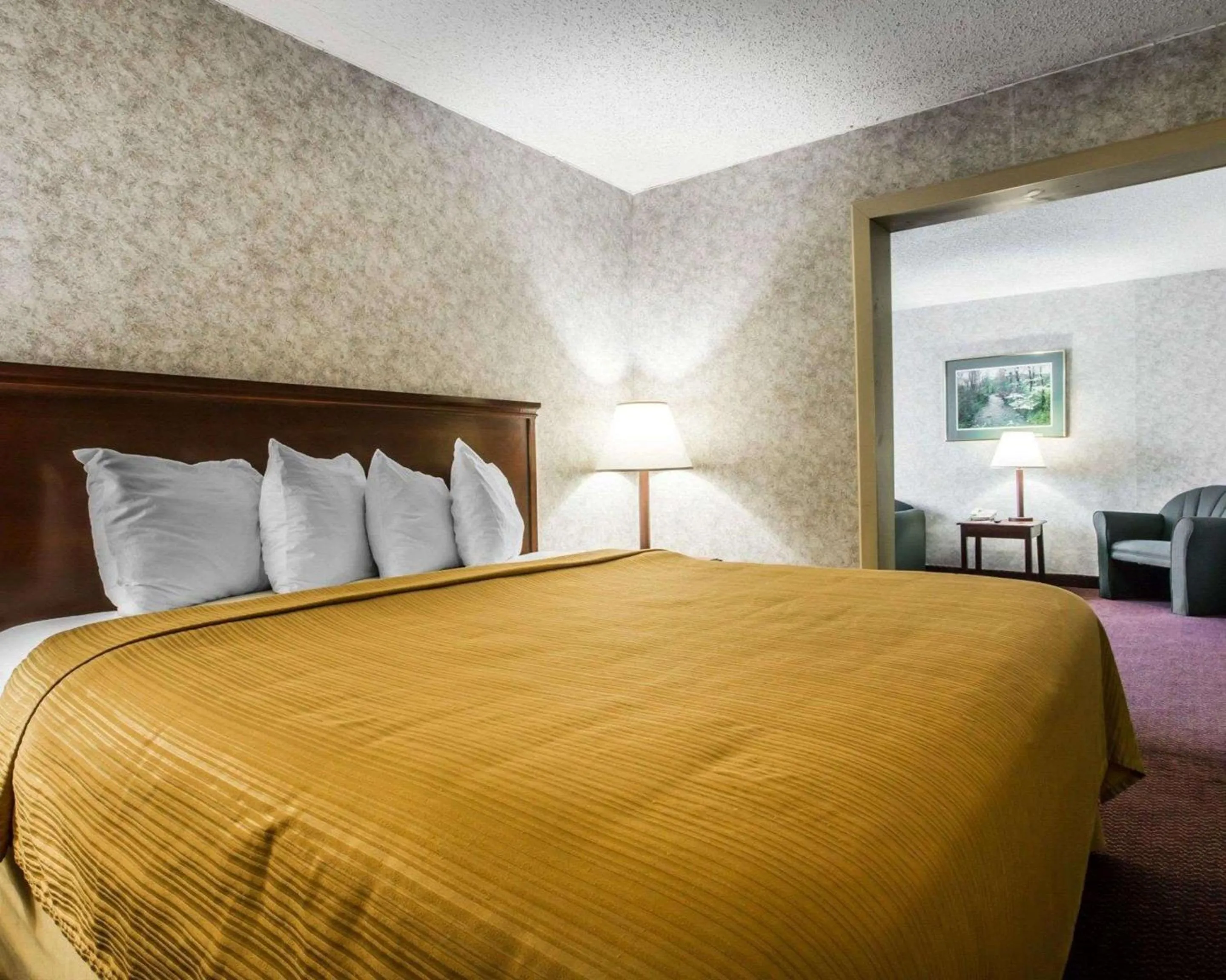 Photo of the whole room in Quality Inn and Suites Kingston