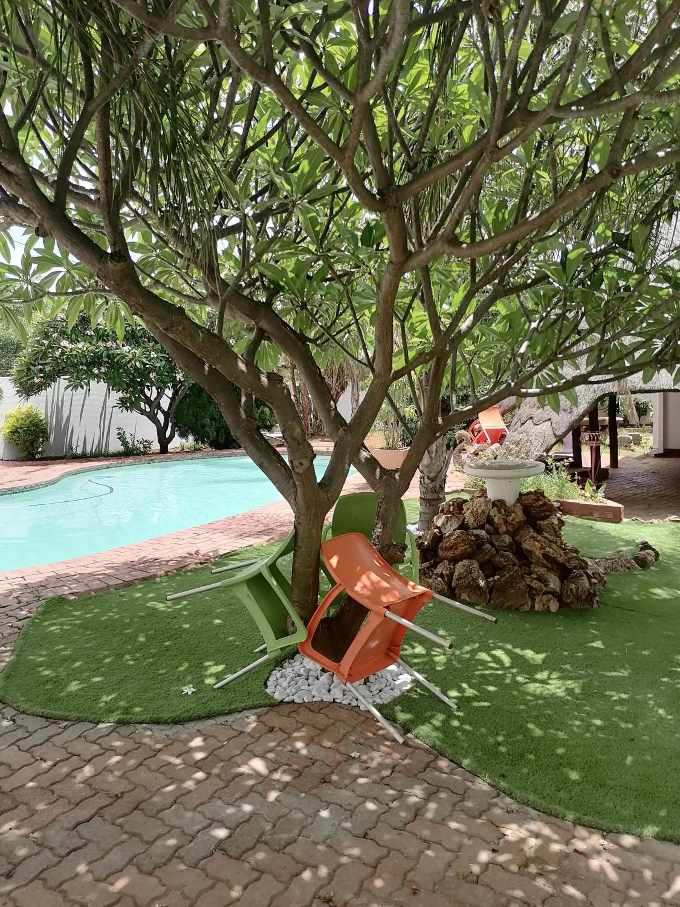 Swimming pool in The Shamrock Hotel