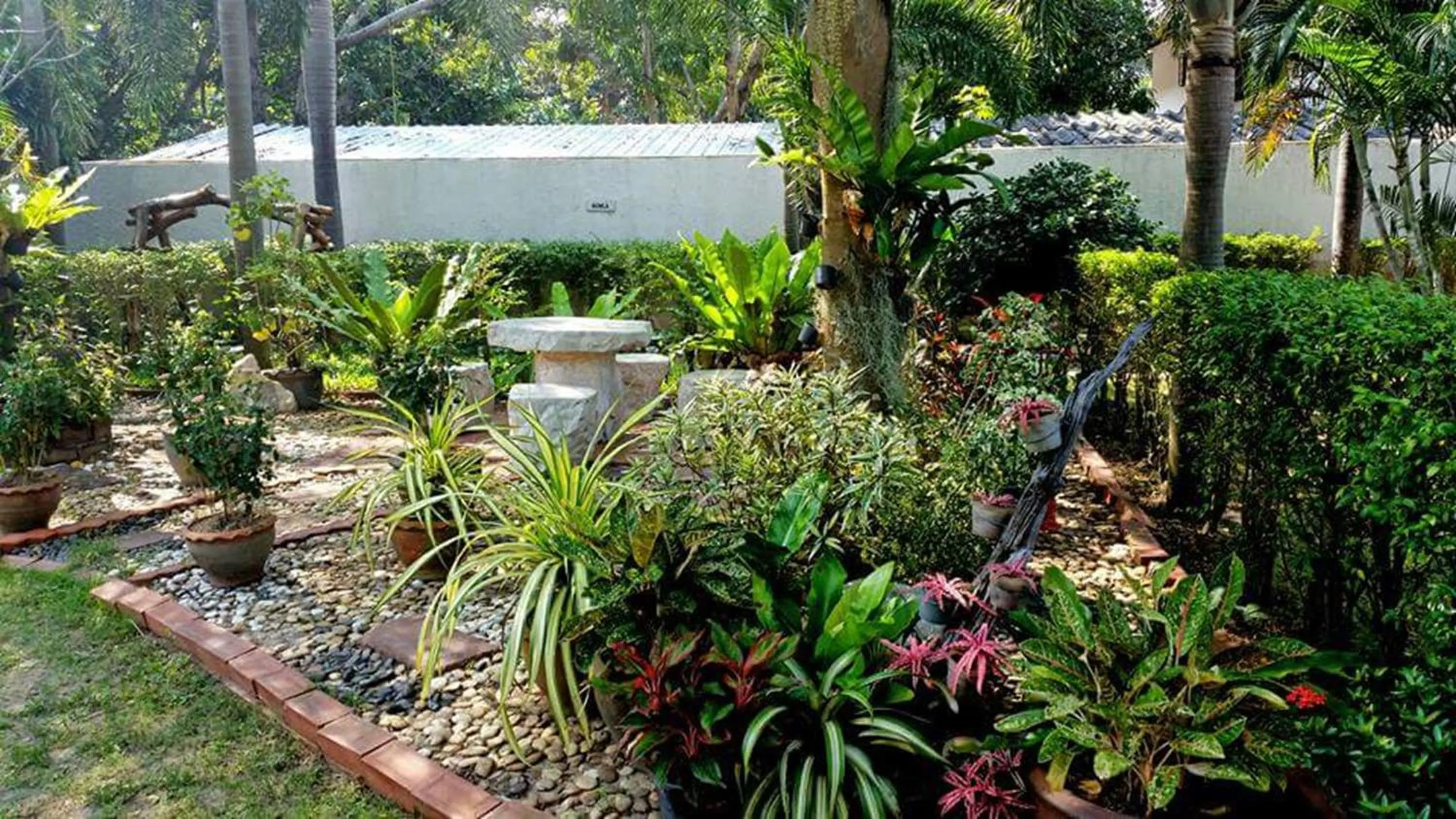 Garden in Serene Sands