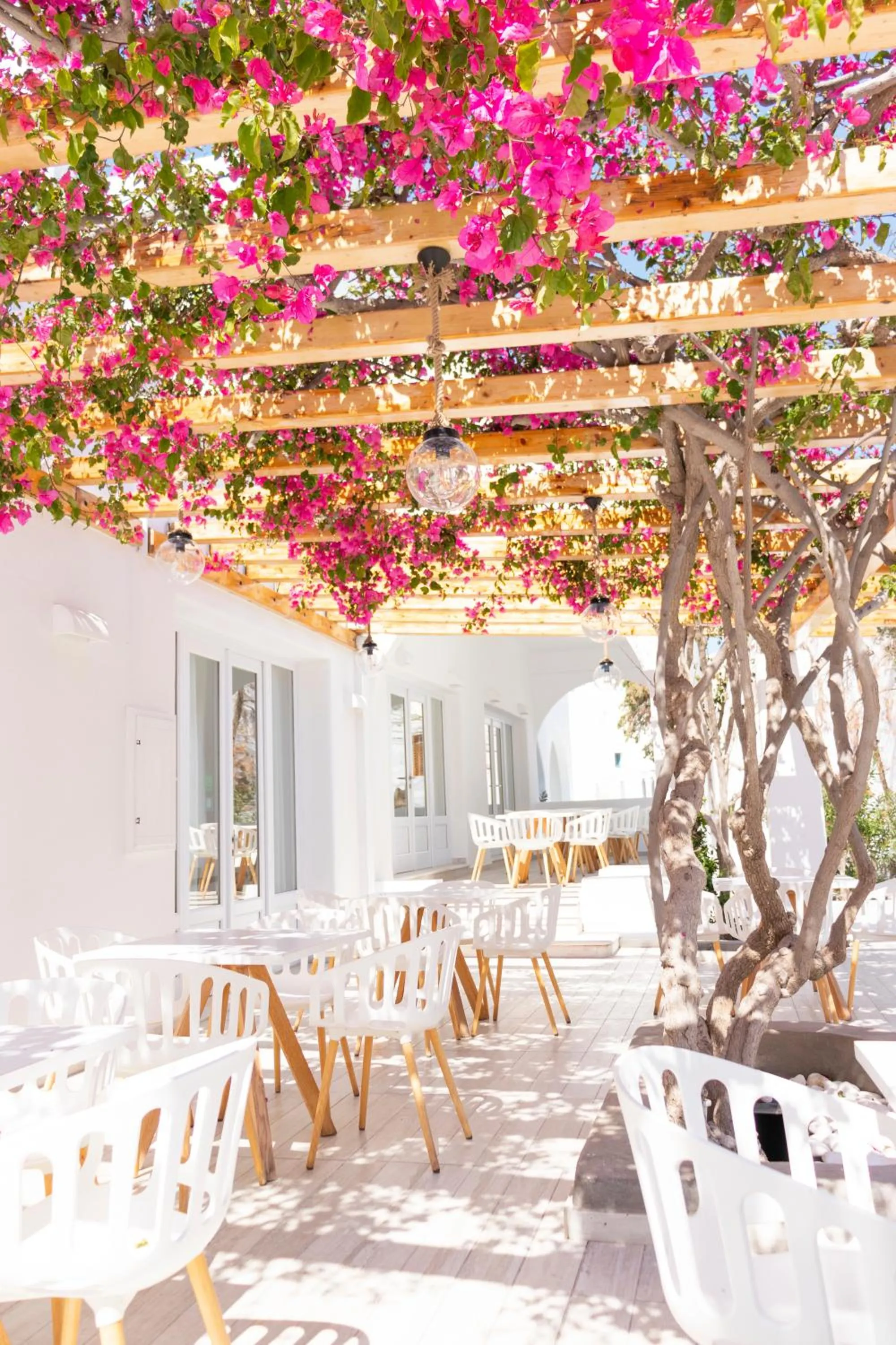 Restaurant/places to eat in Cavo Bianco Boutique Hotel & Spa