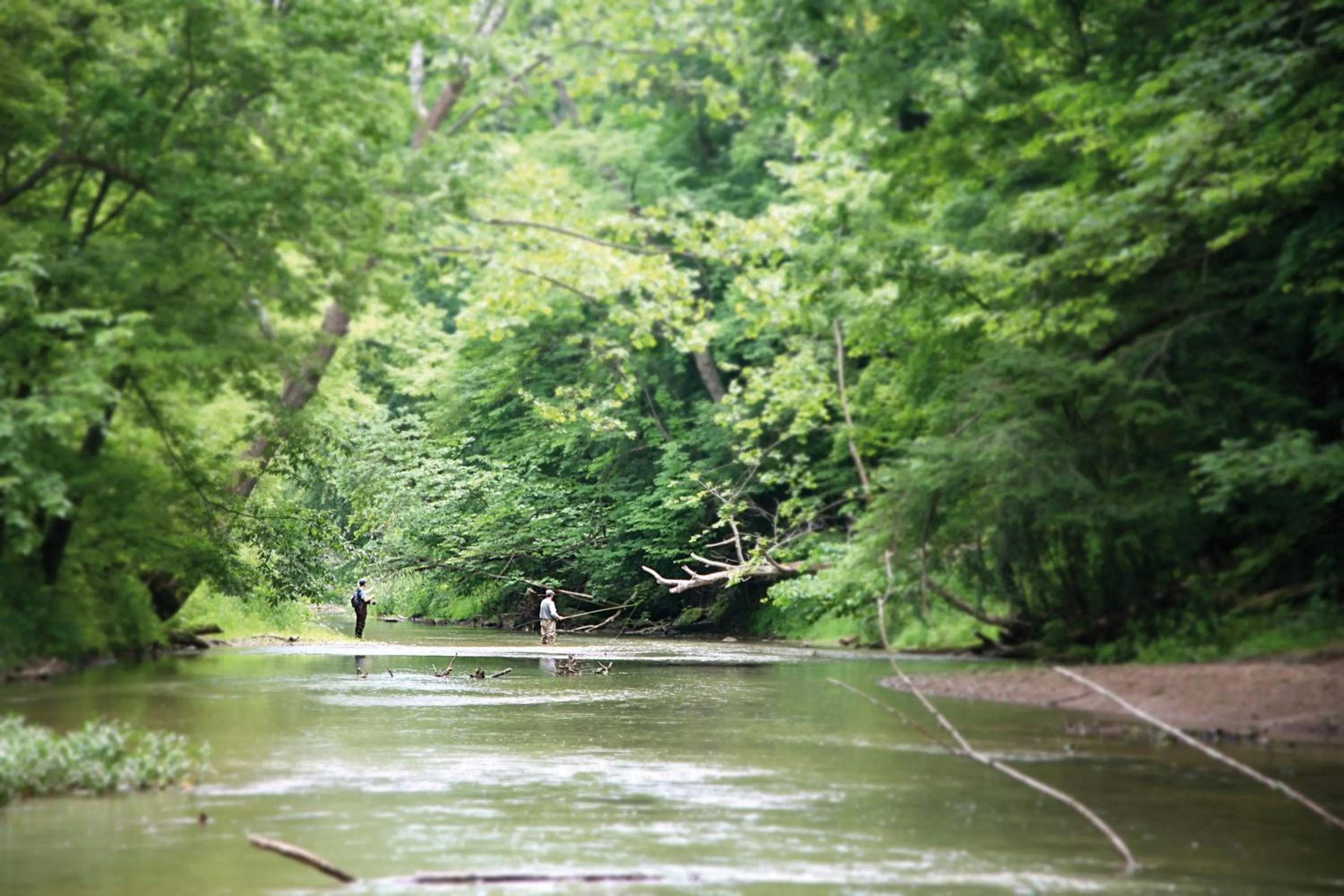 Fishing in HOTEL ZILLNERs EINKEHR ***