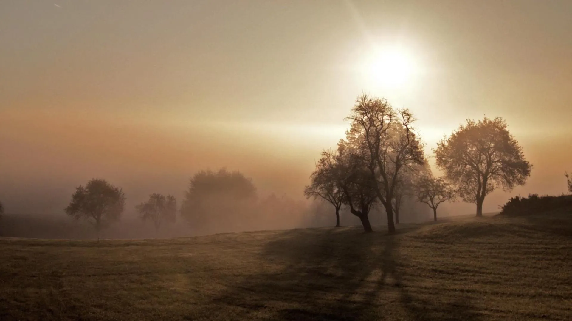Natural landscape in HOTEL ZILLNERs EINKEHR ***