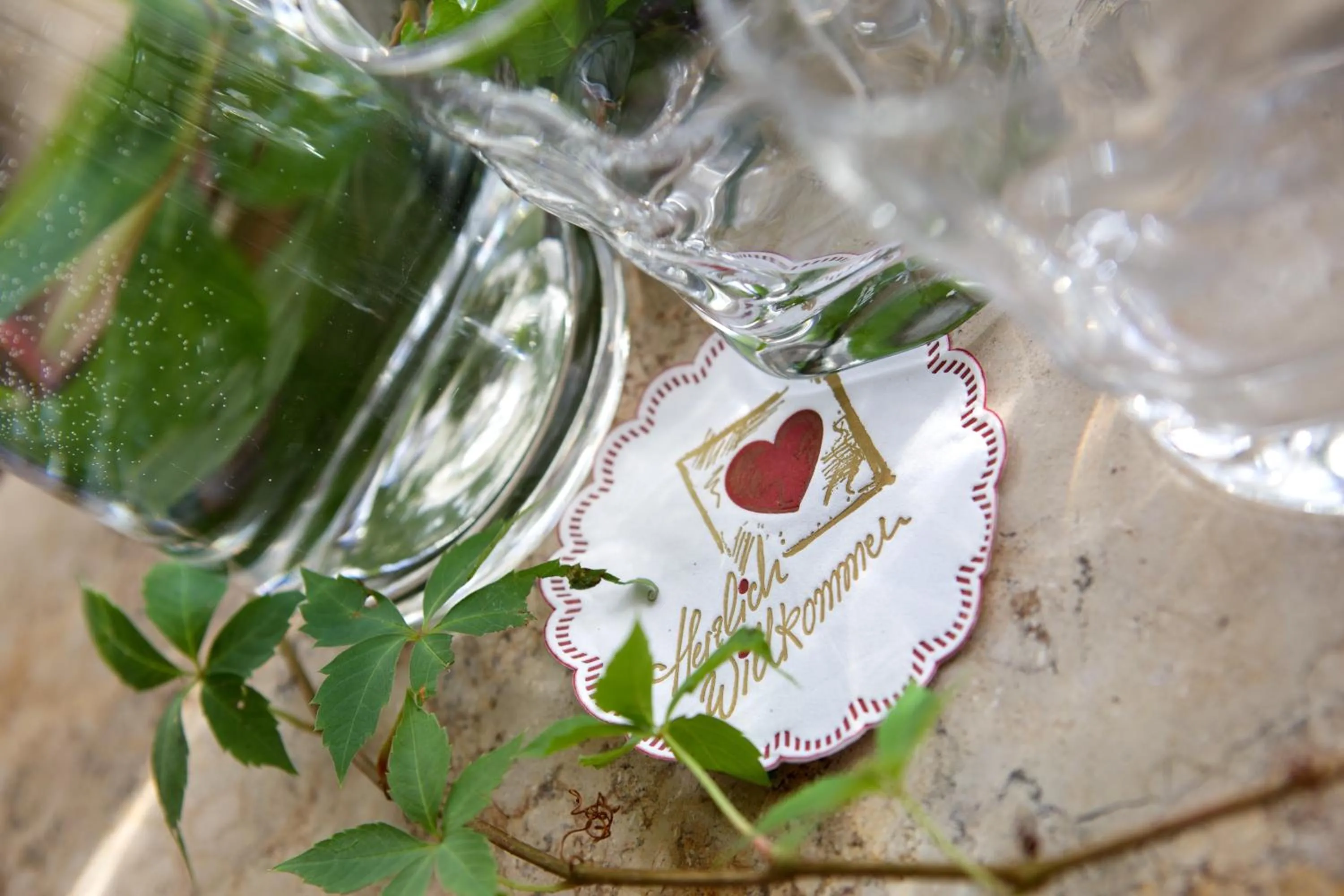 Area and facilities in HOTEL ZILLNERs EINKEHR ***