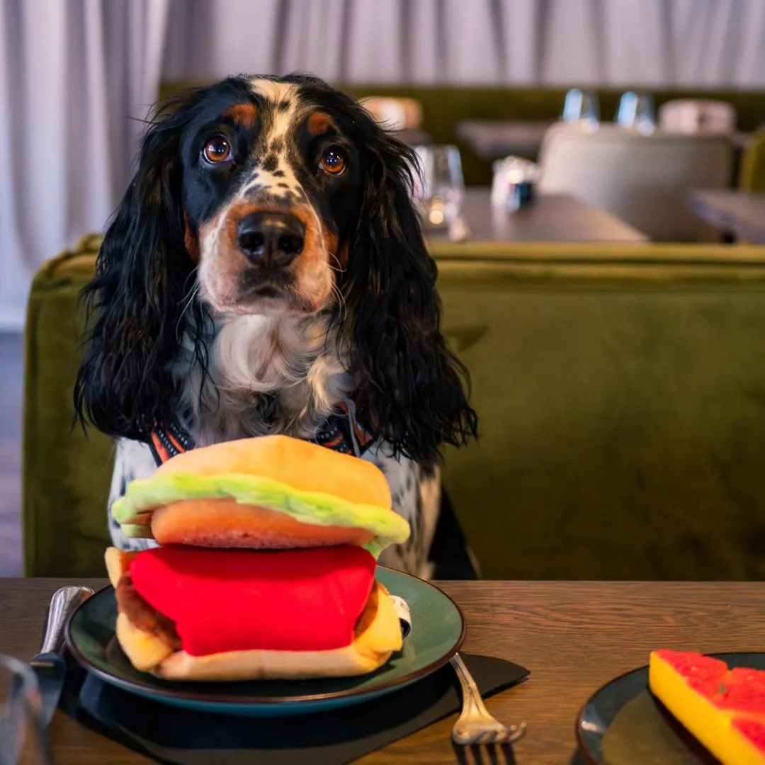 Hôtel Restaurant Vaillant Colmar Nord