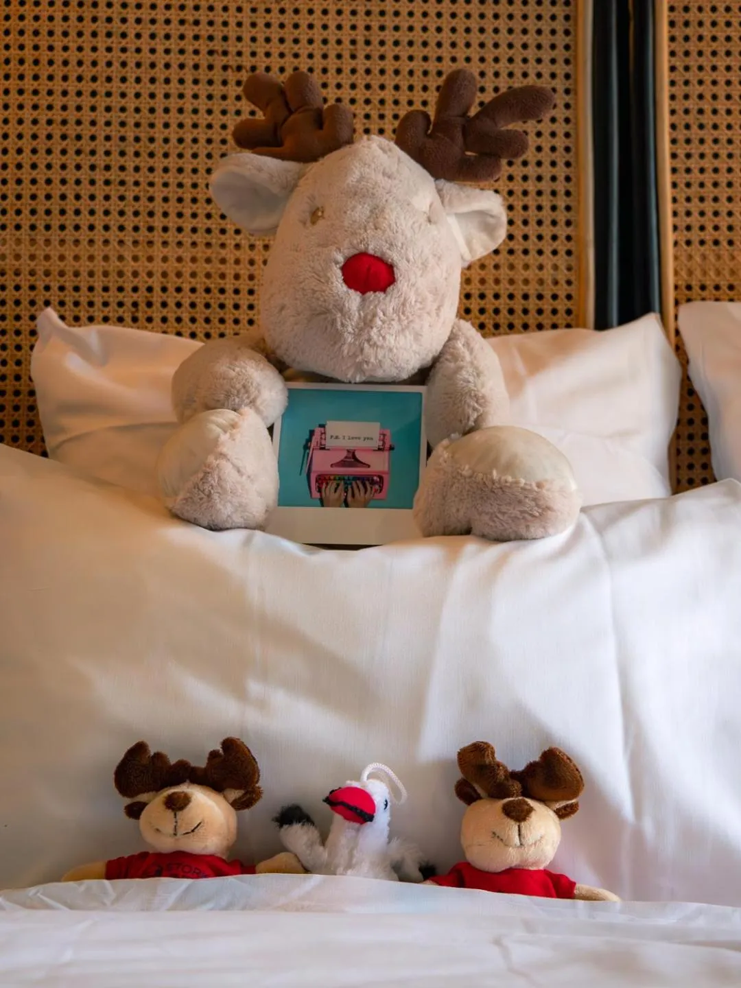 Bed in Hôtel Restaurant Vaillant Colmar Nord