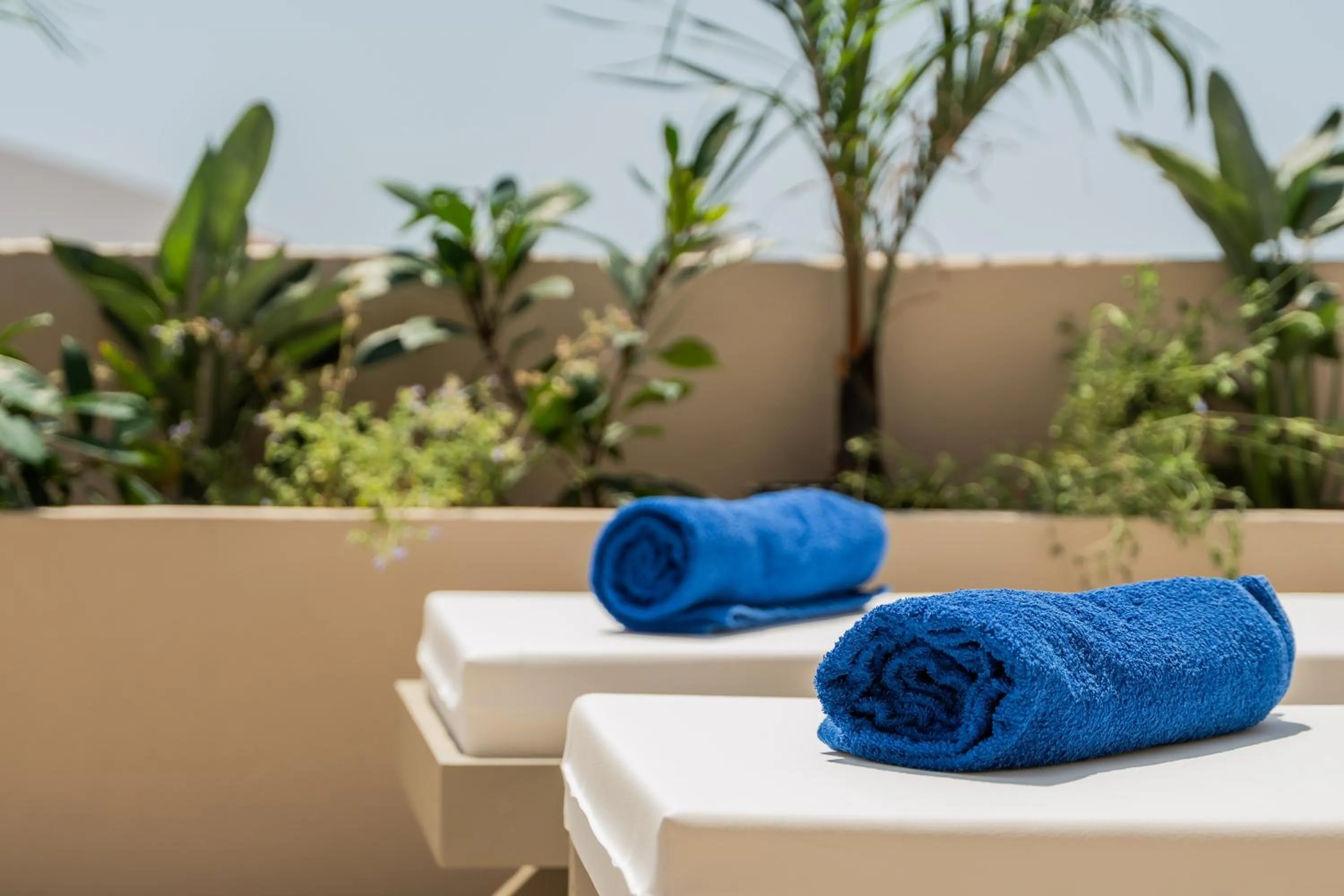 Balcony/Terrace in Astoria Hotel