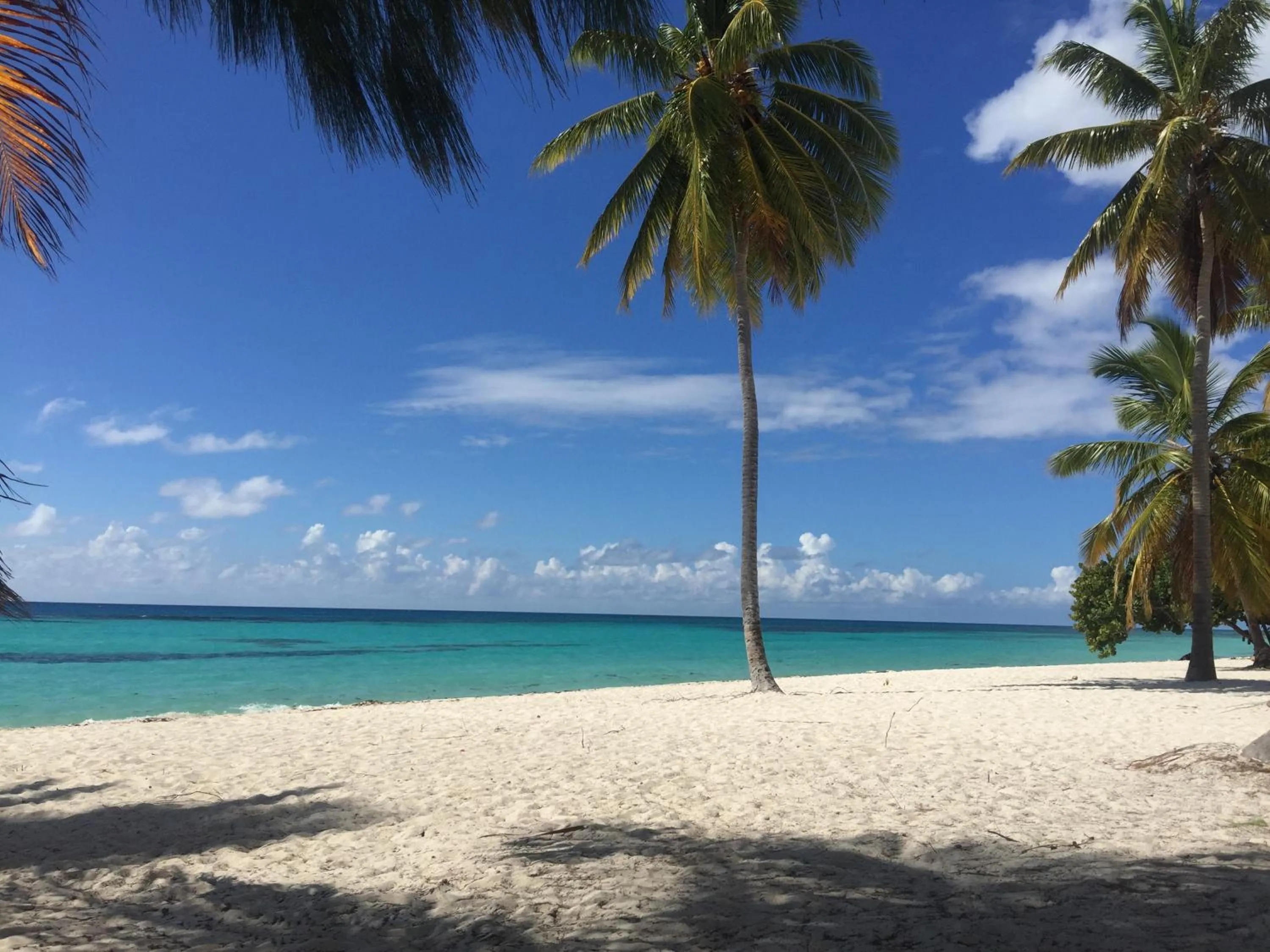 Beach in B&B Villa Luna