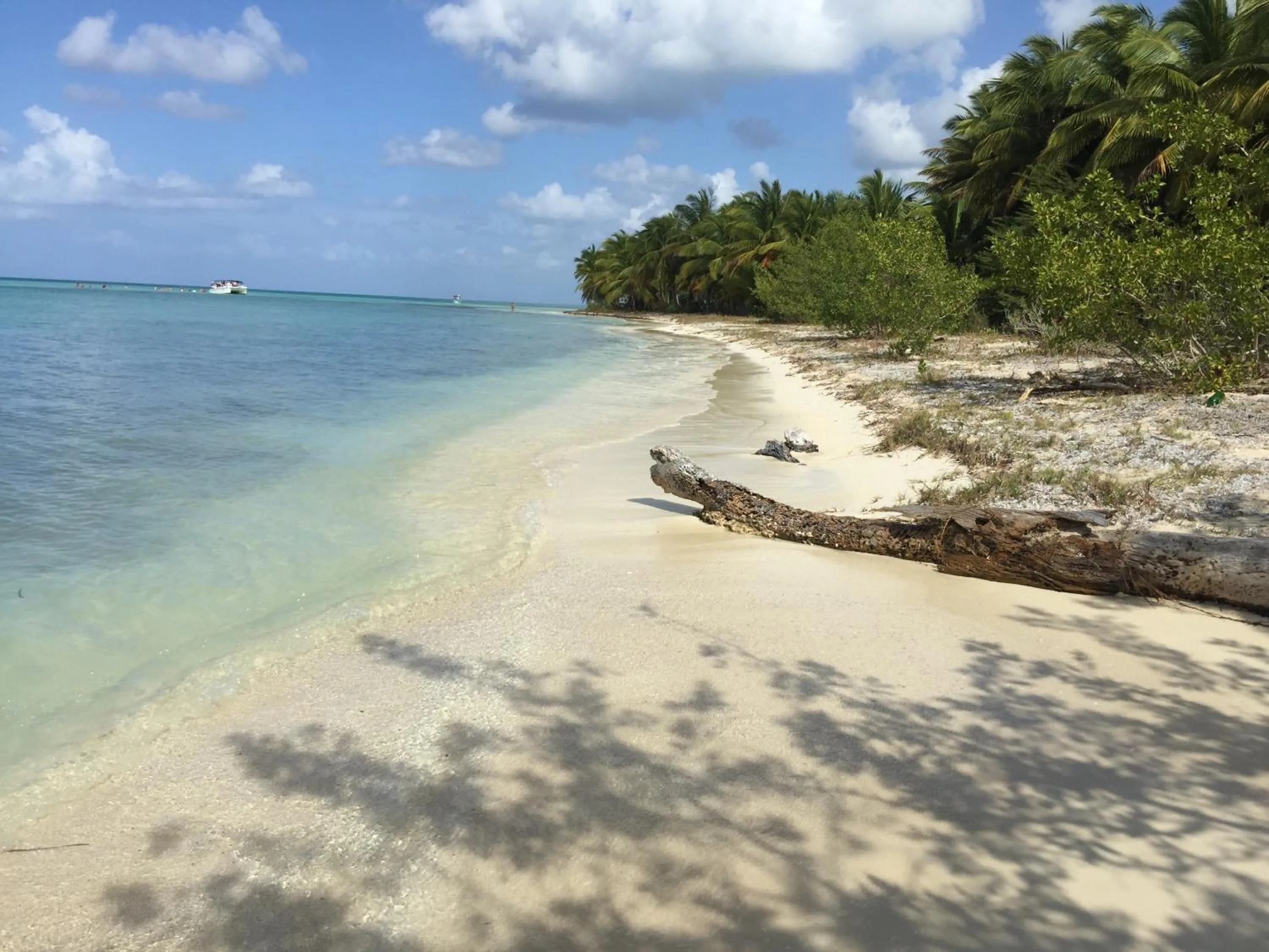 Natural landscape in B&B Villa Luna