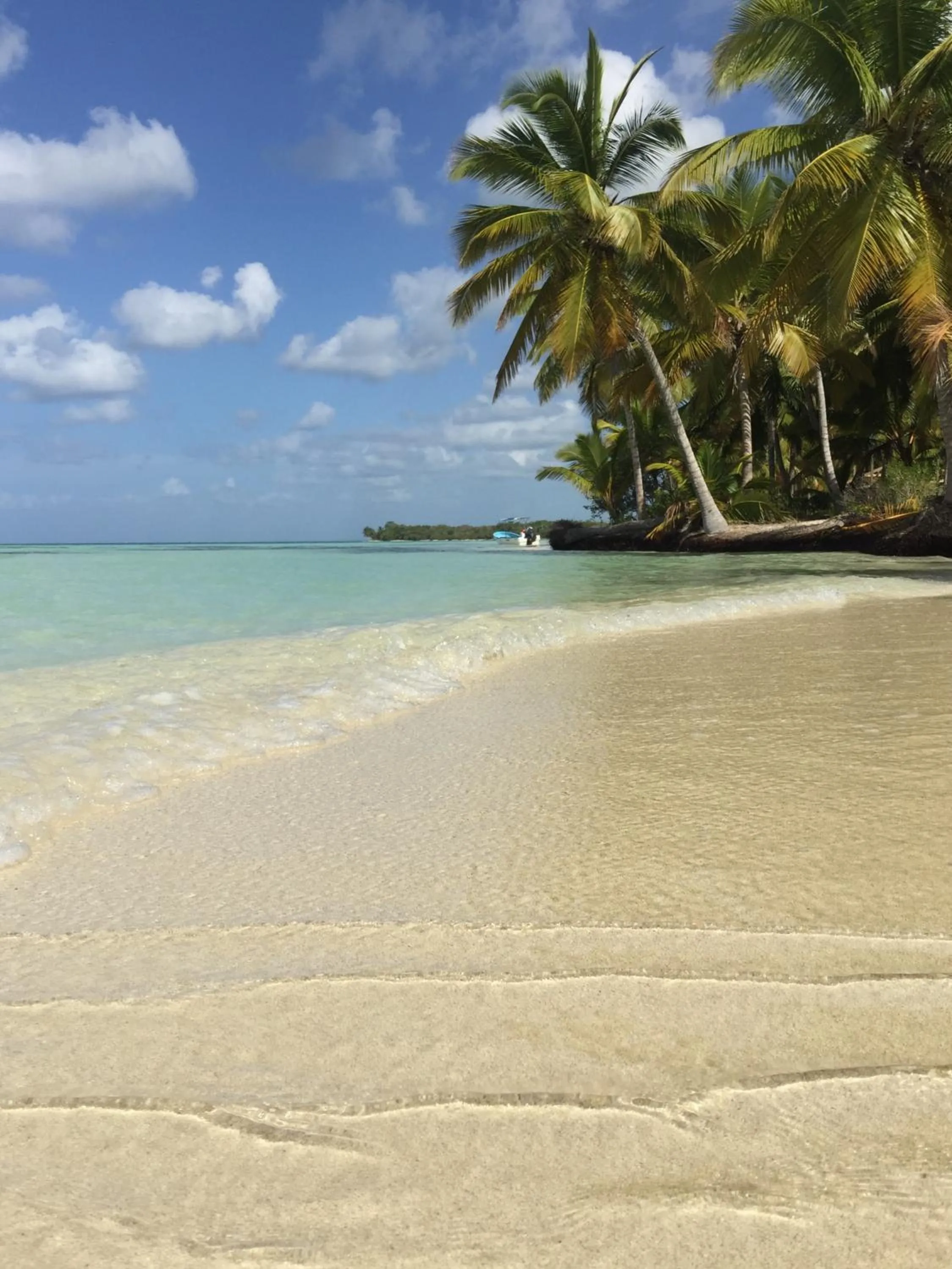 Natural landscape in B&B Villa Luna