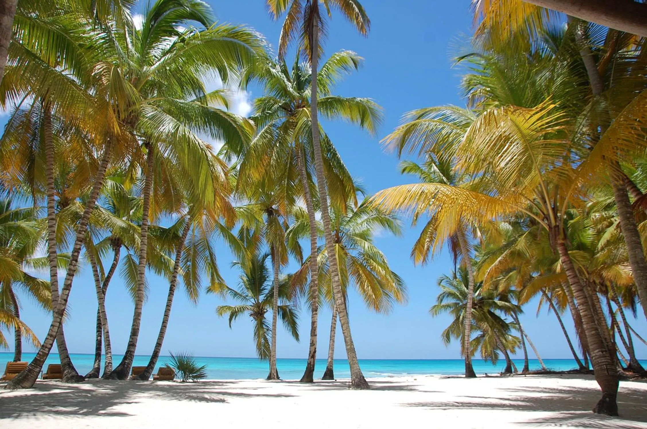 Natural landscape in B&B Villa Luna