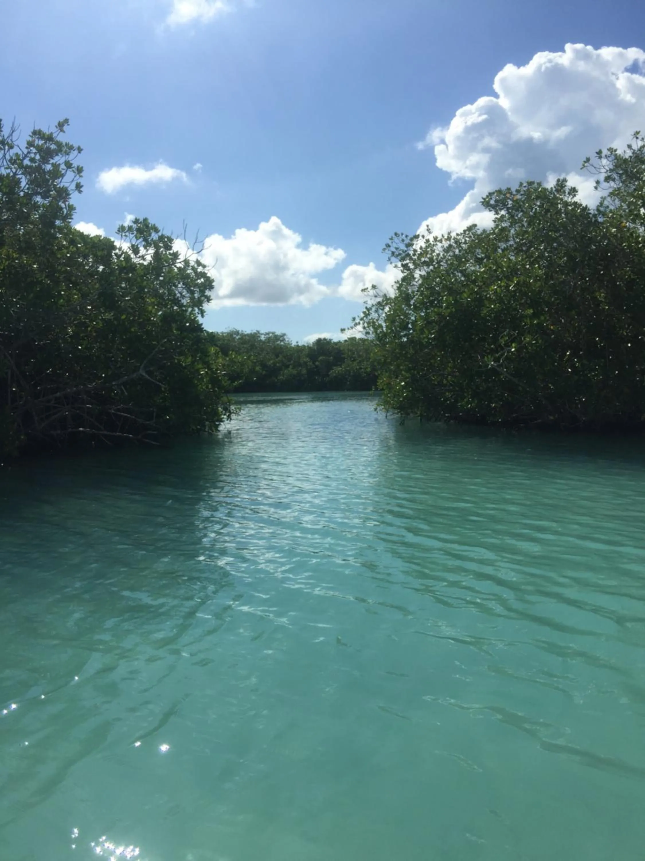 Natural landscape in B&B Villa Luna