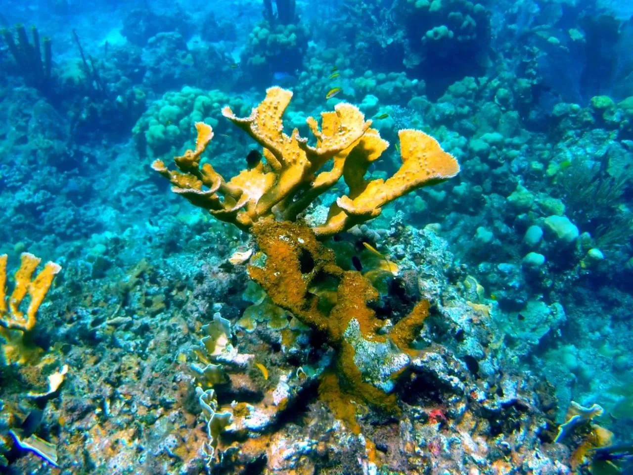 Activities in B&B Villa Luna