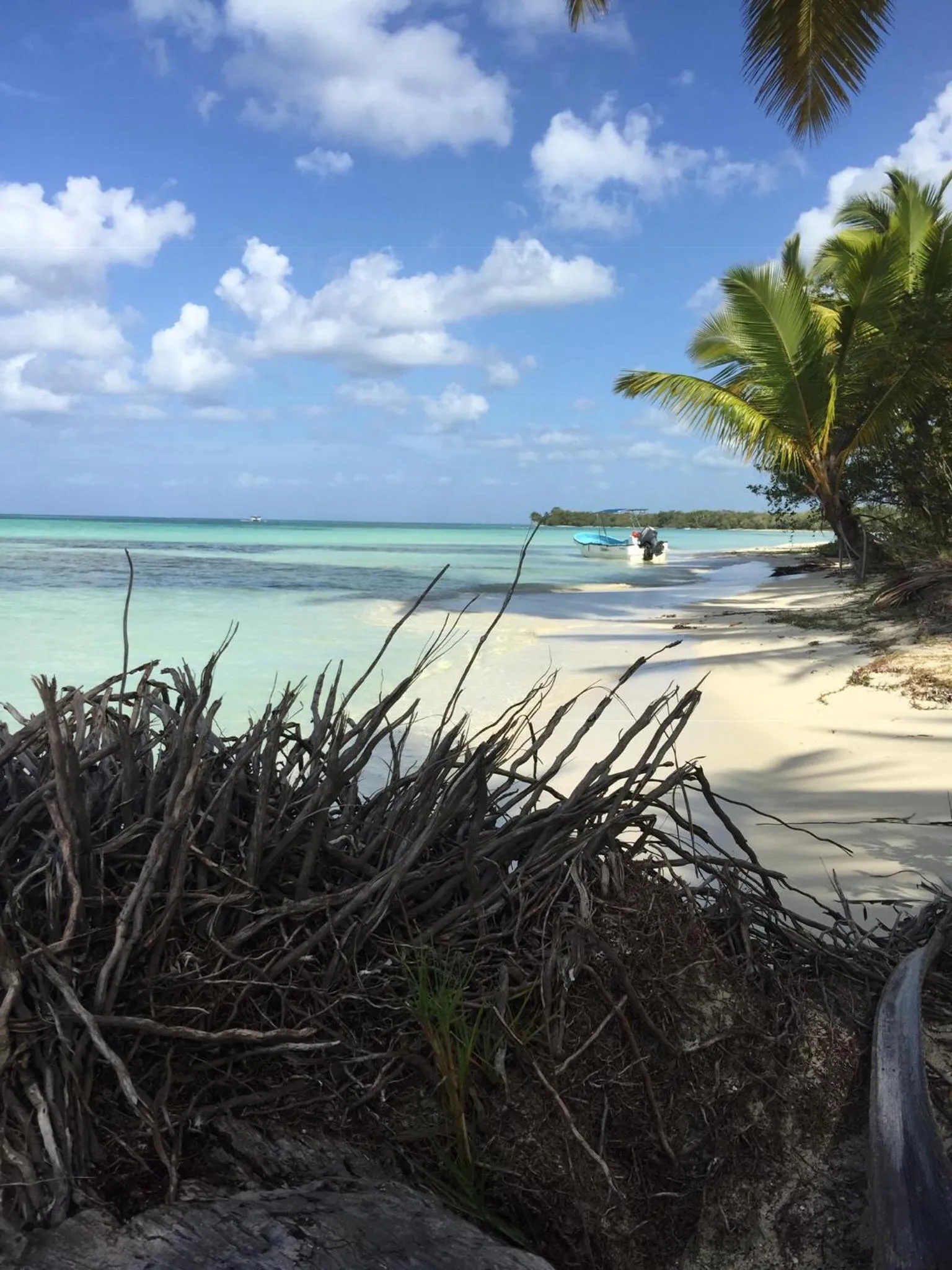 Natural landscape in B&B Villa Luna