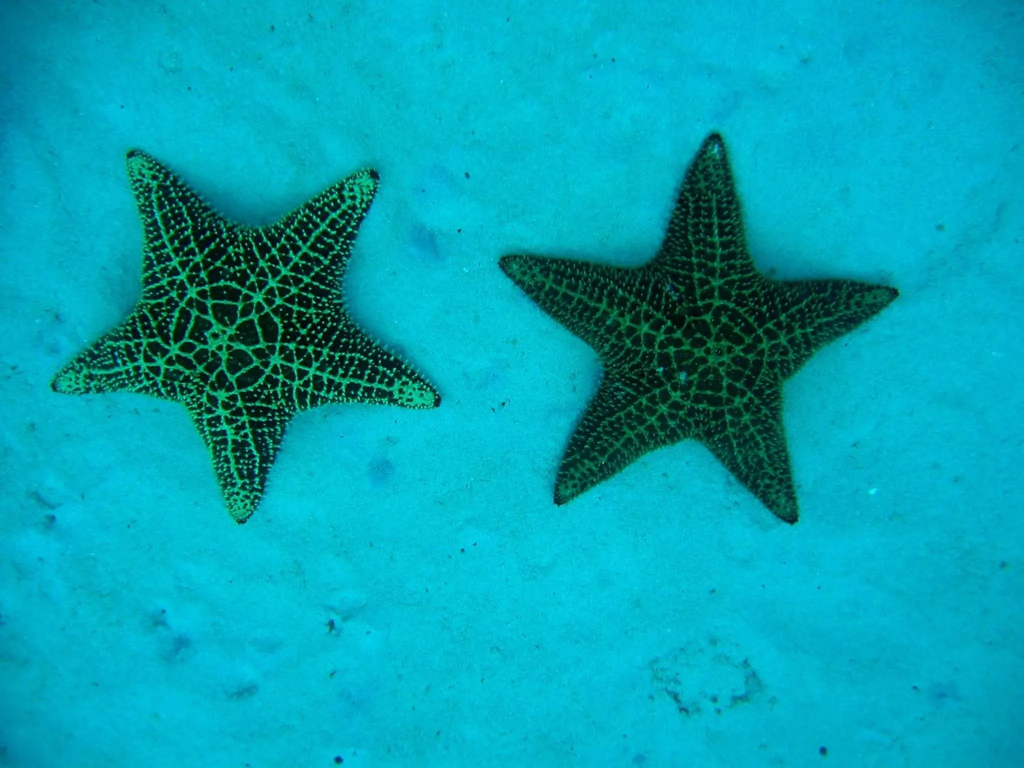 Natural landscape in B&B Villa Luna