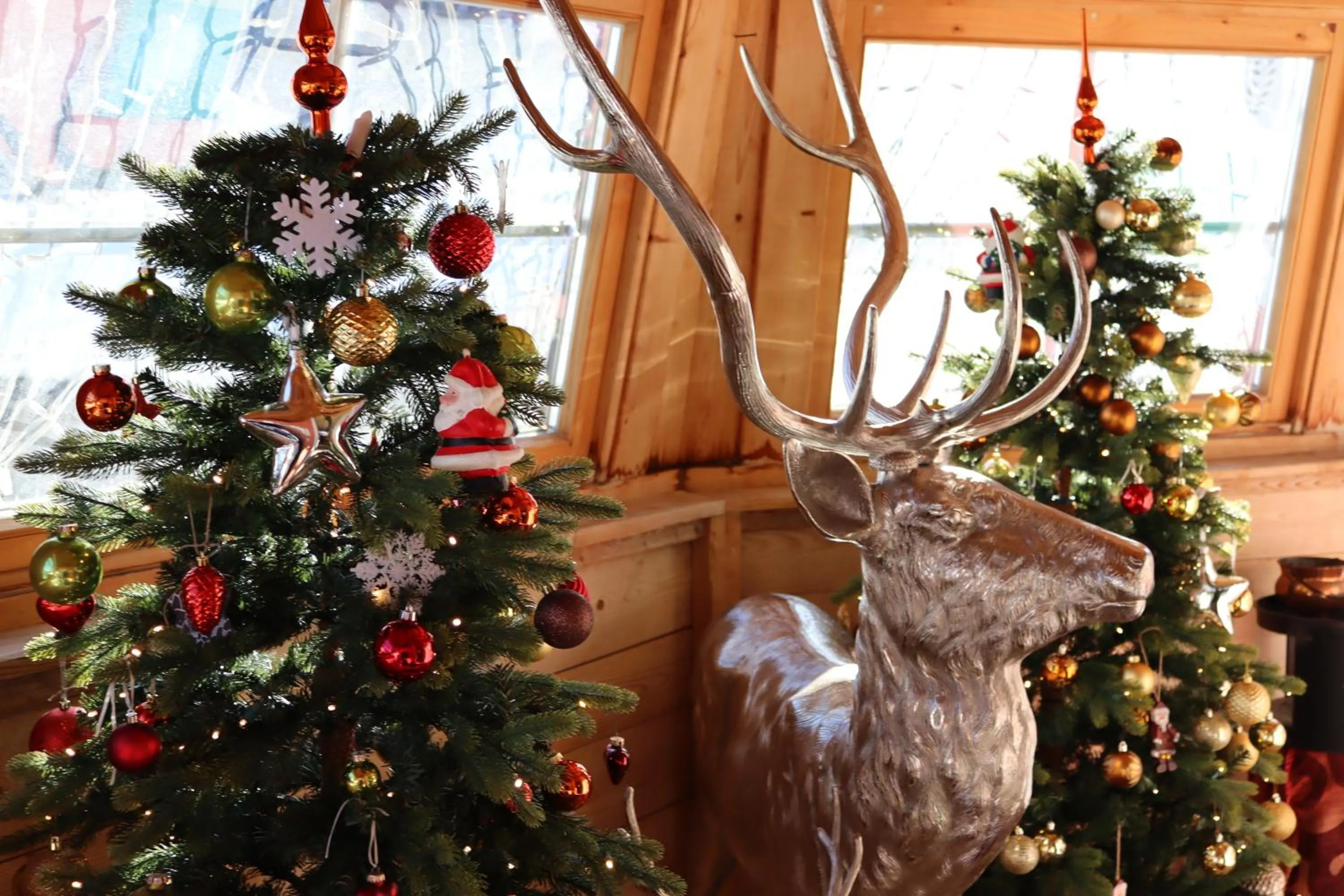 Property building in Der Grubacher