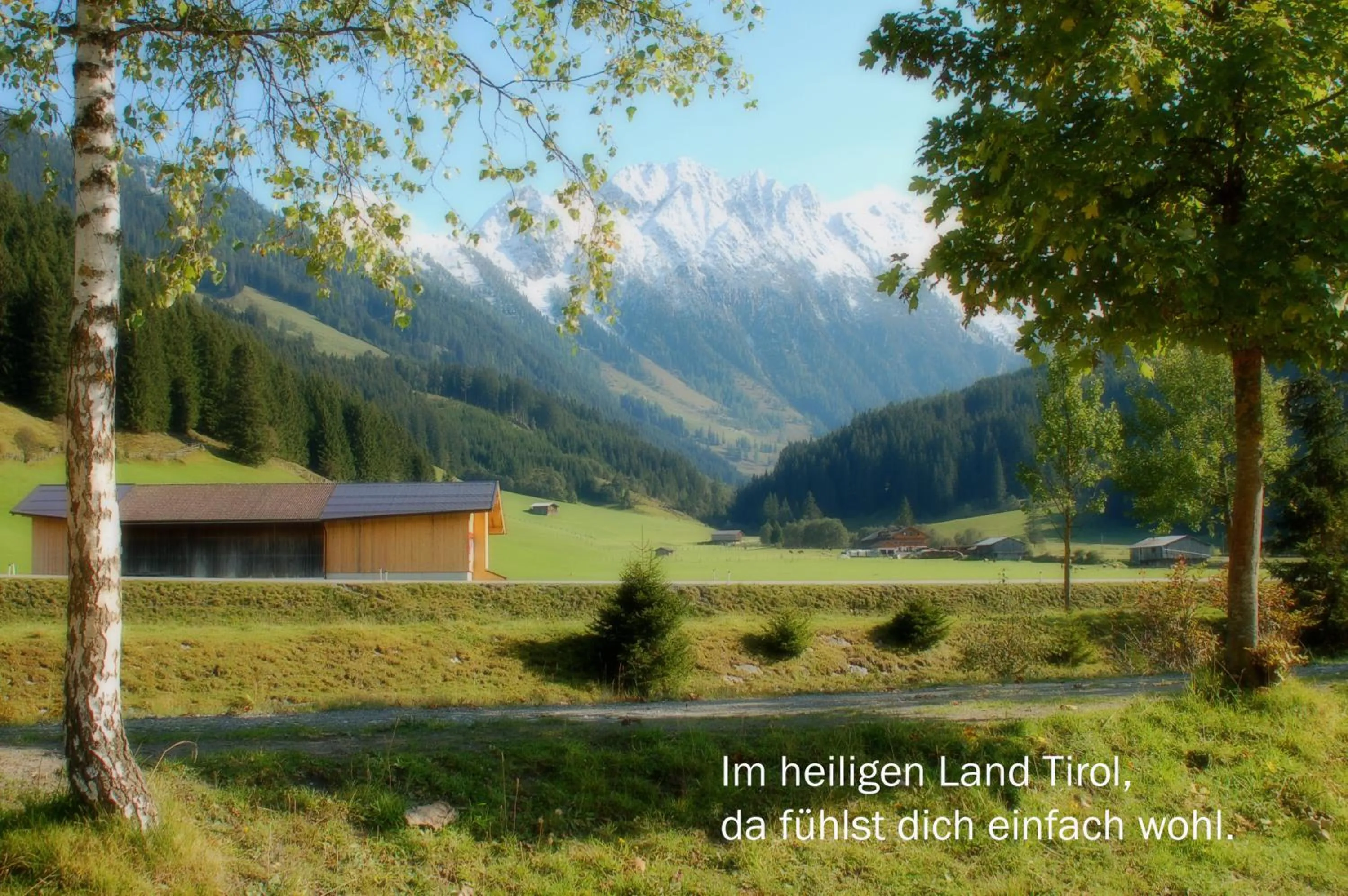 Mountain view in Der Grubacher