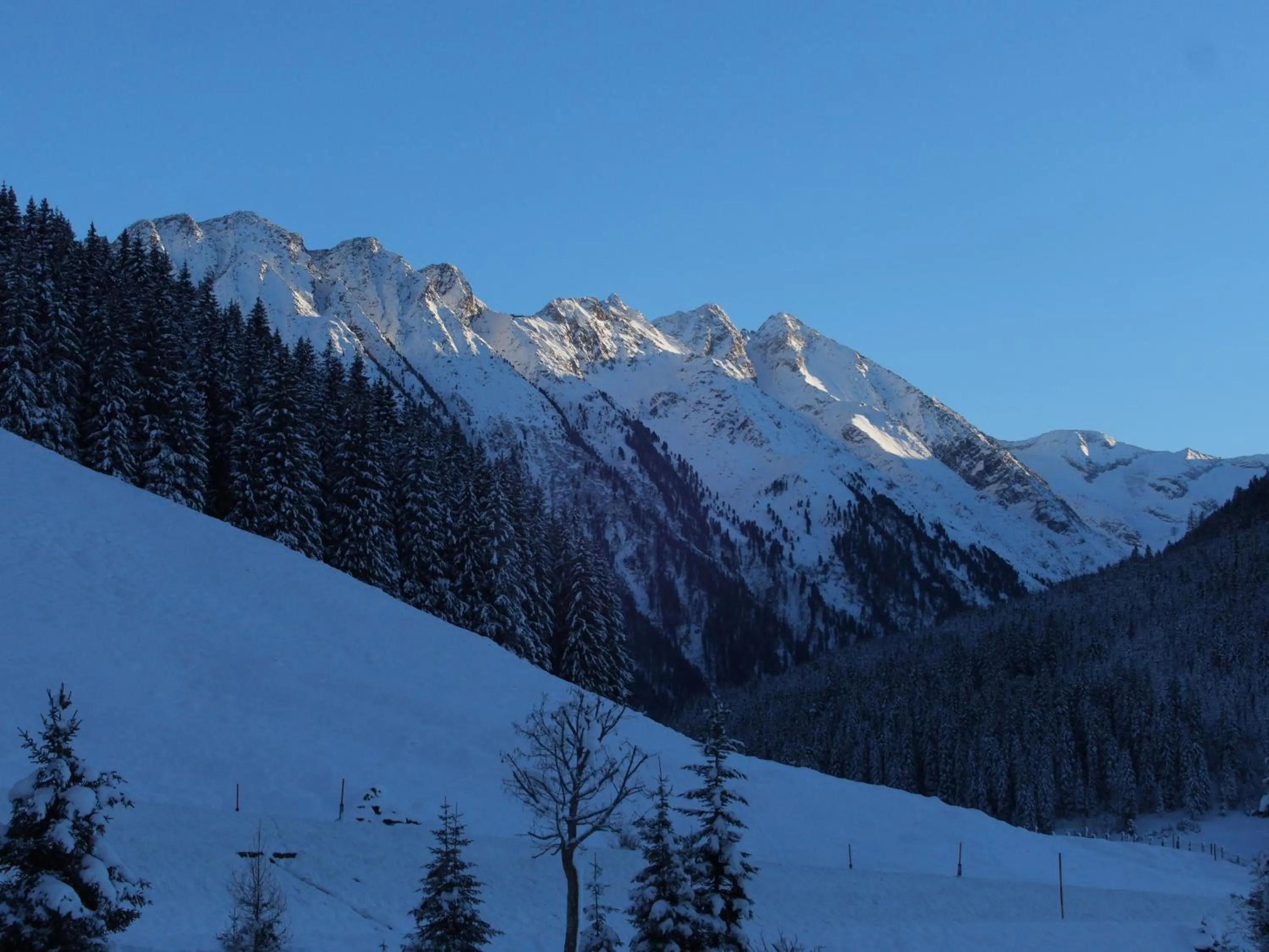 Property building in Der Grubacher