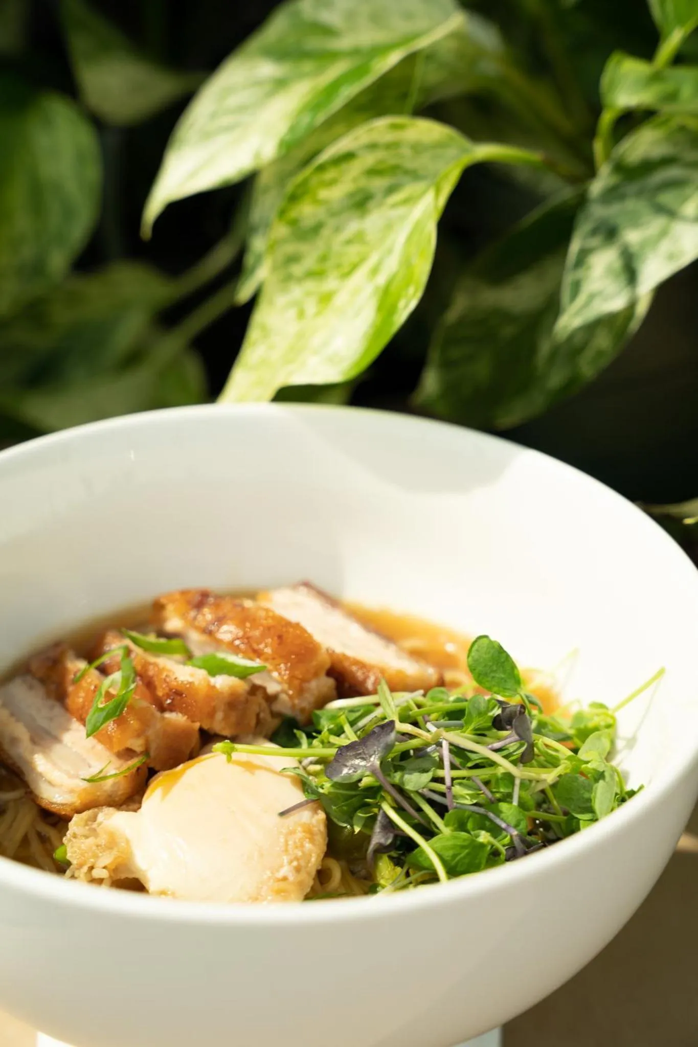 Restaurant/places to eat in Hôtel-Motel 1212