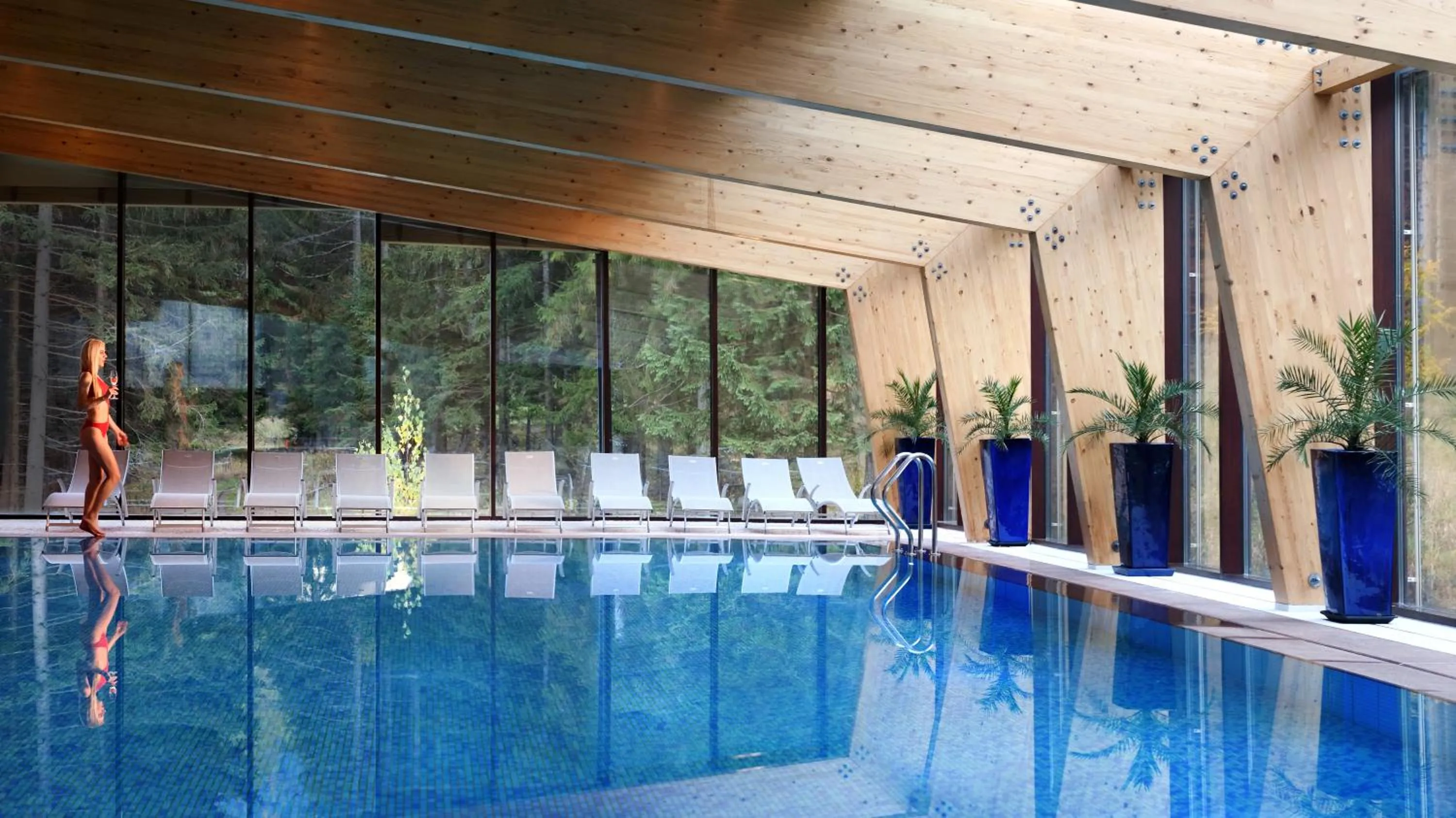 Swimming pool in Wellness Hotel Chopok