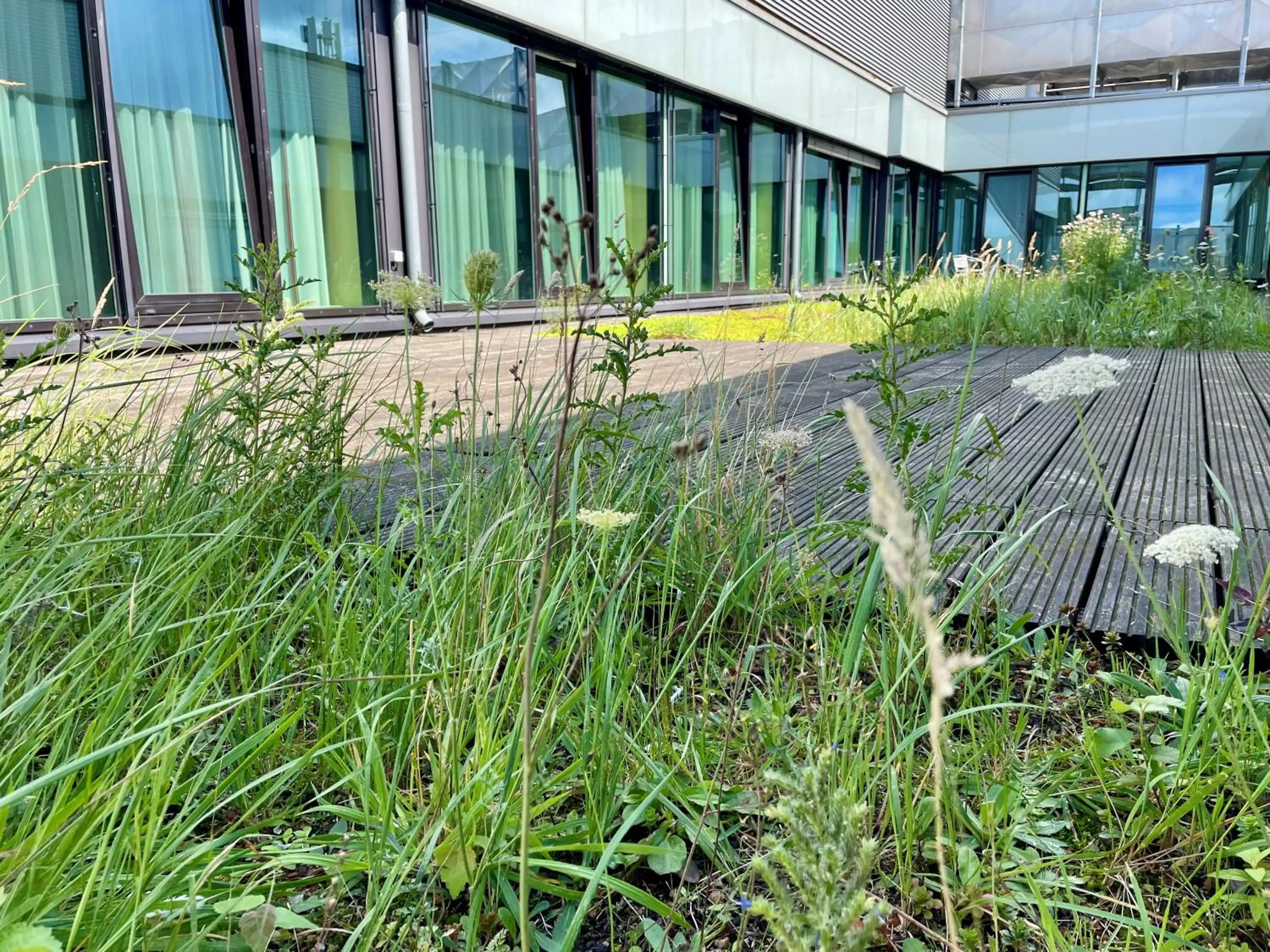 Garden view in Aspire AcarA Oldenburg, Trademark Collection by Wyndham