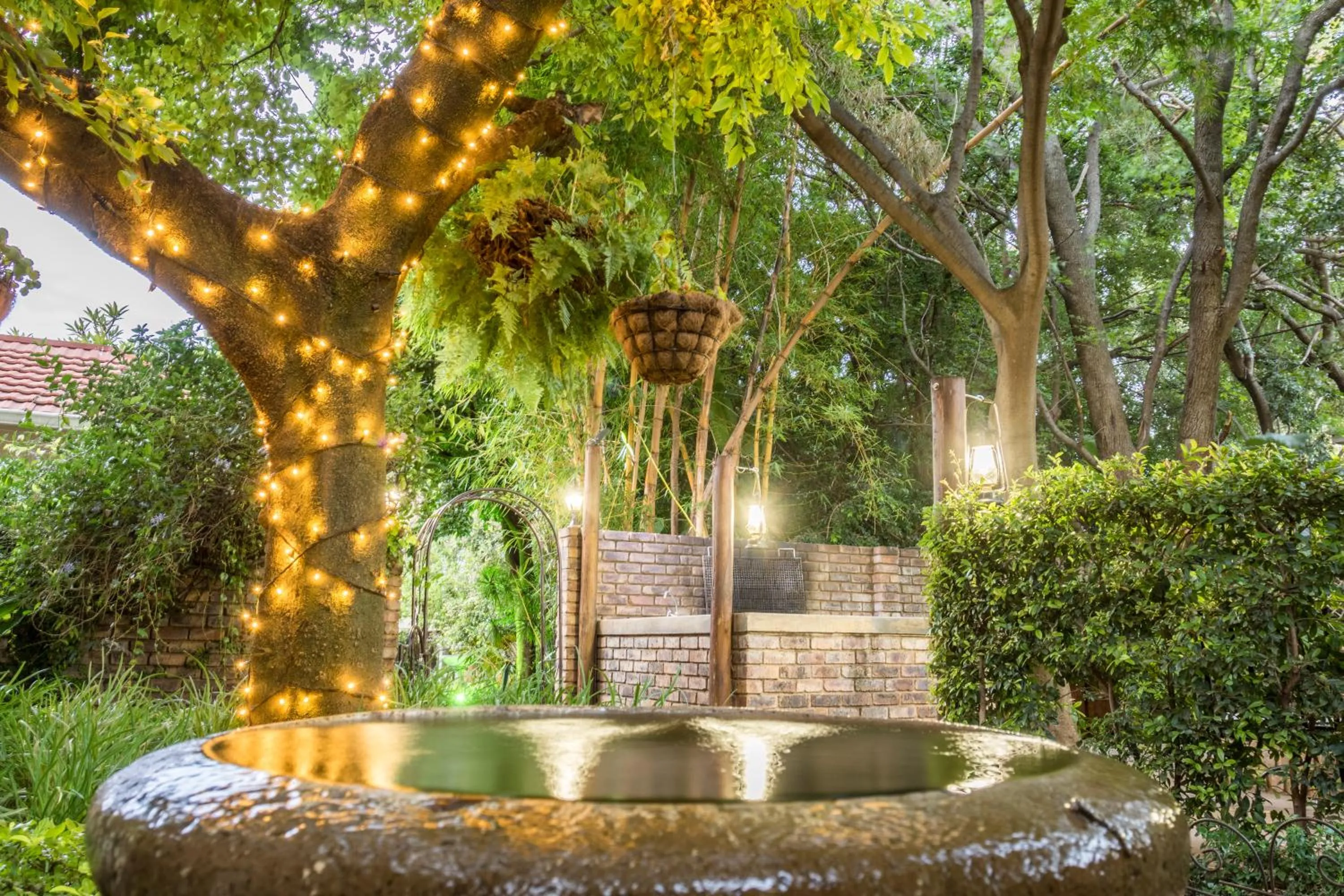 Garden in Murray Street 137 Guesthouse