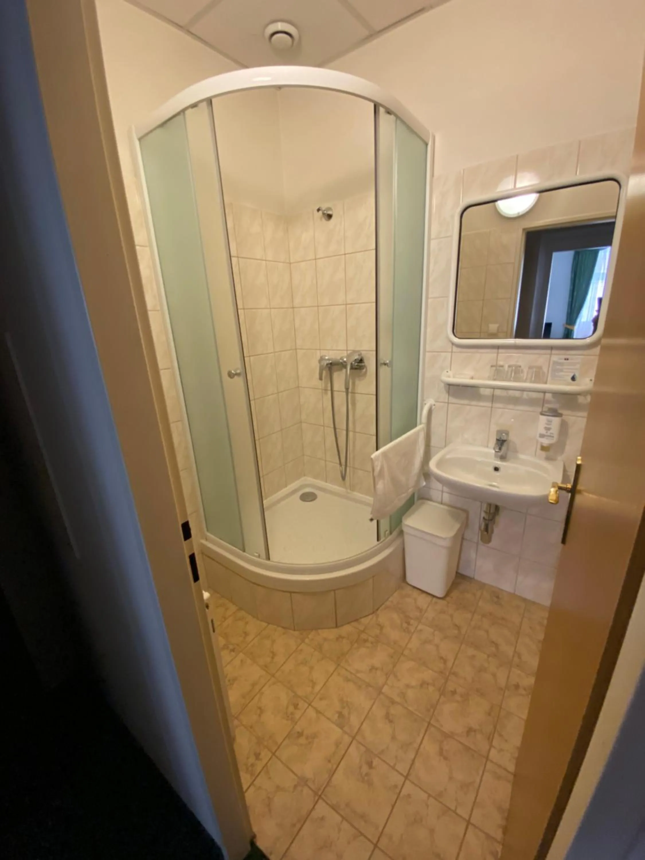 Shower in Hotel Omega Brno