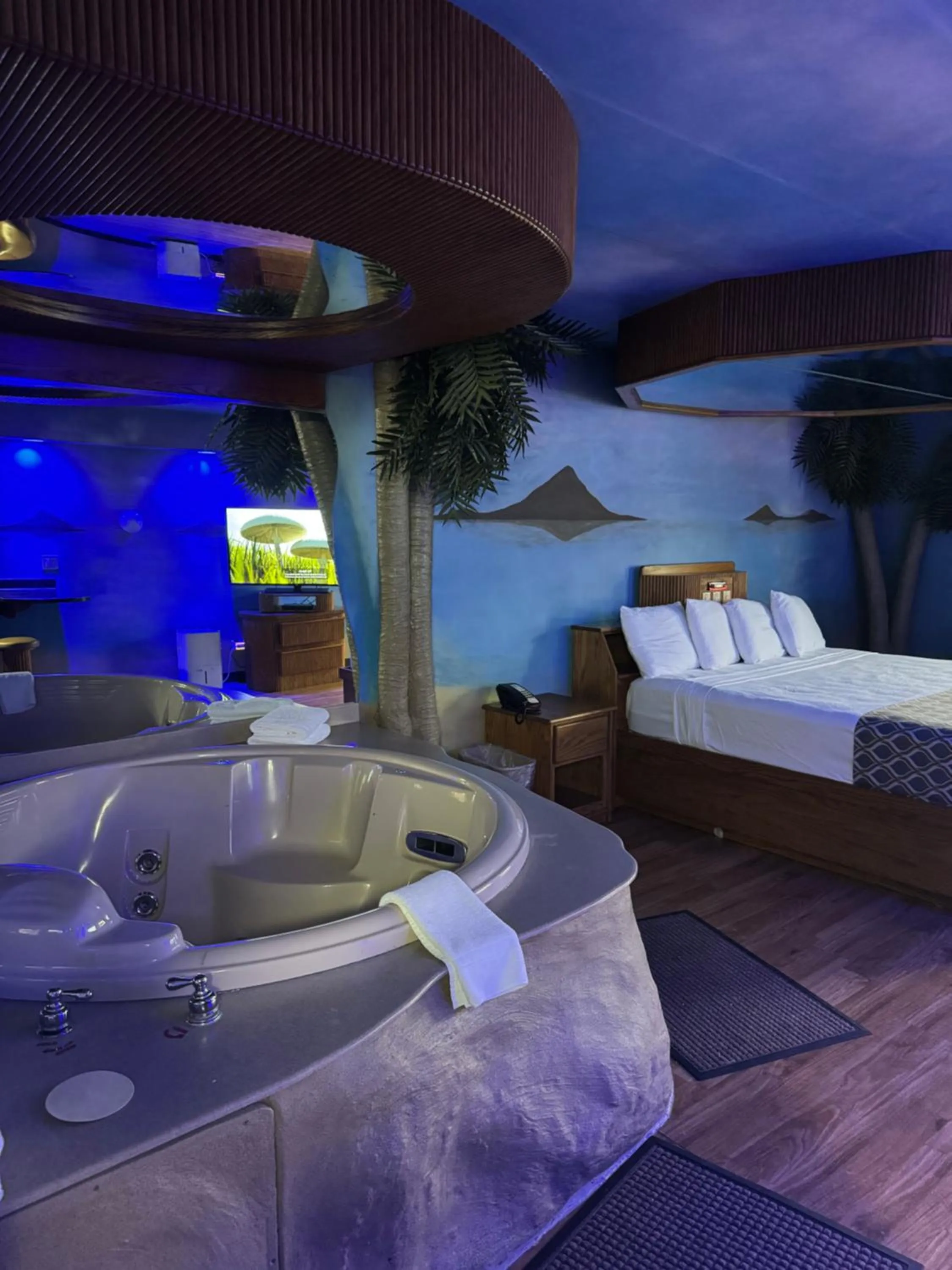 Photo of the whole room in Blue Star Motel