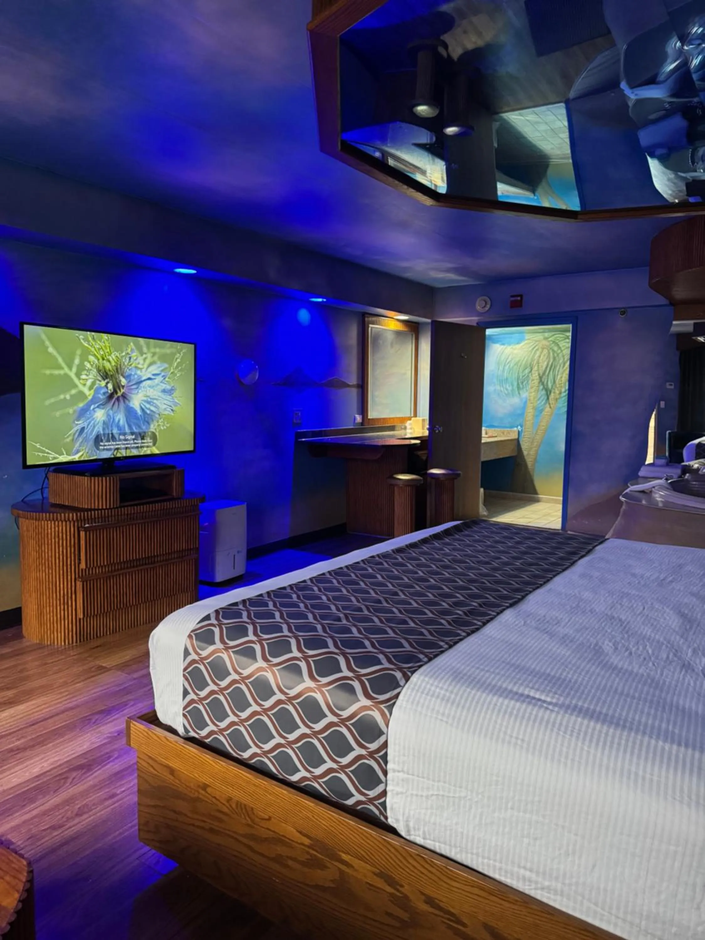 Bed in Blue Star Motel