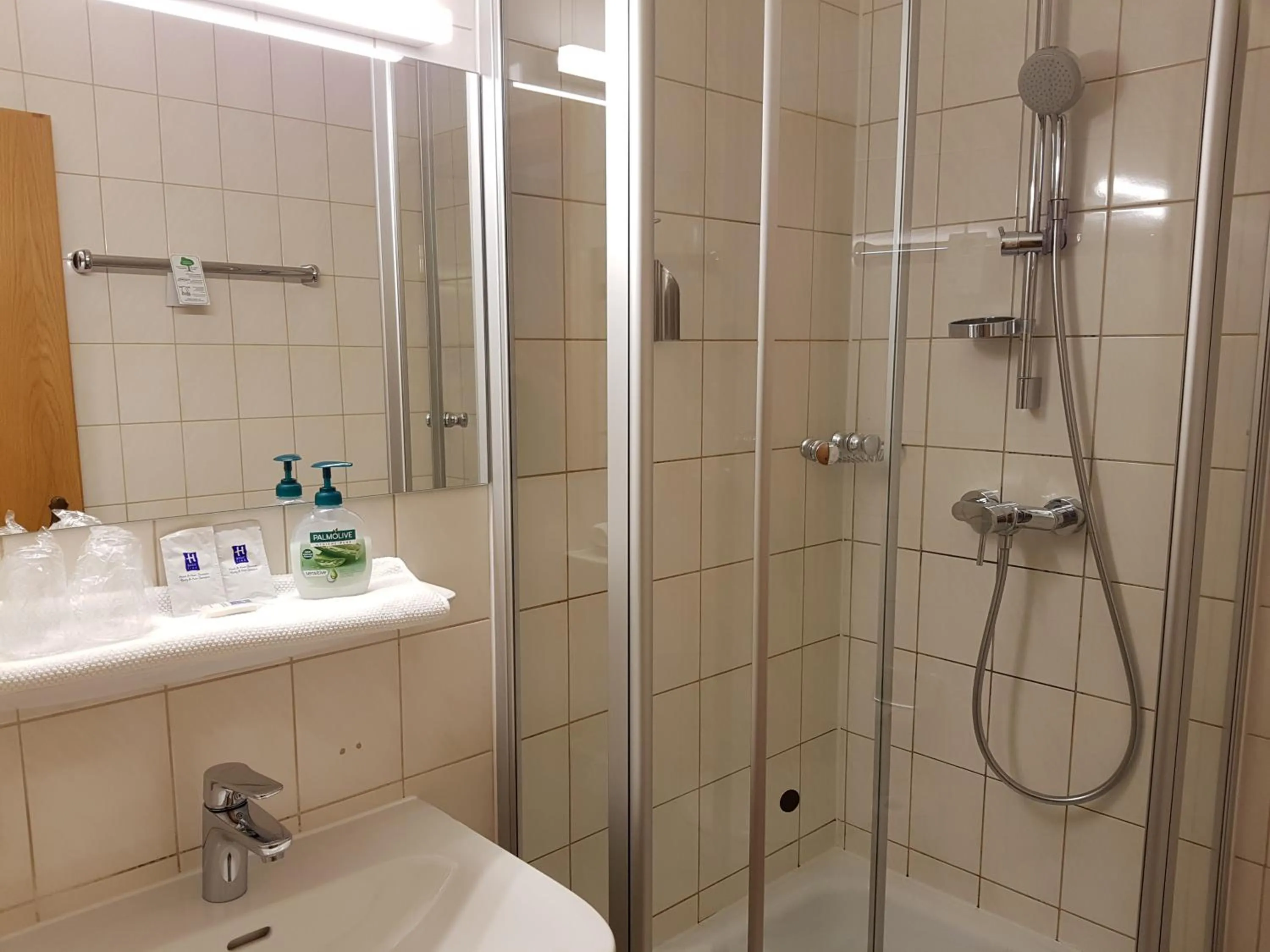 Shower, Bathroom in Hotel Jägerhof garni