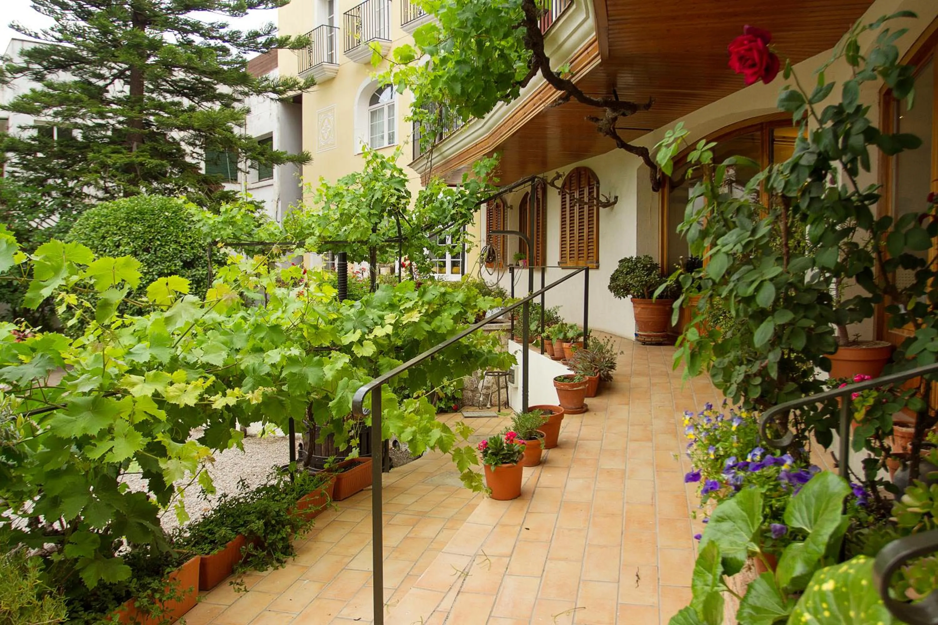 Balcony/Terrace in Hotel Antiga