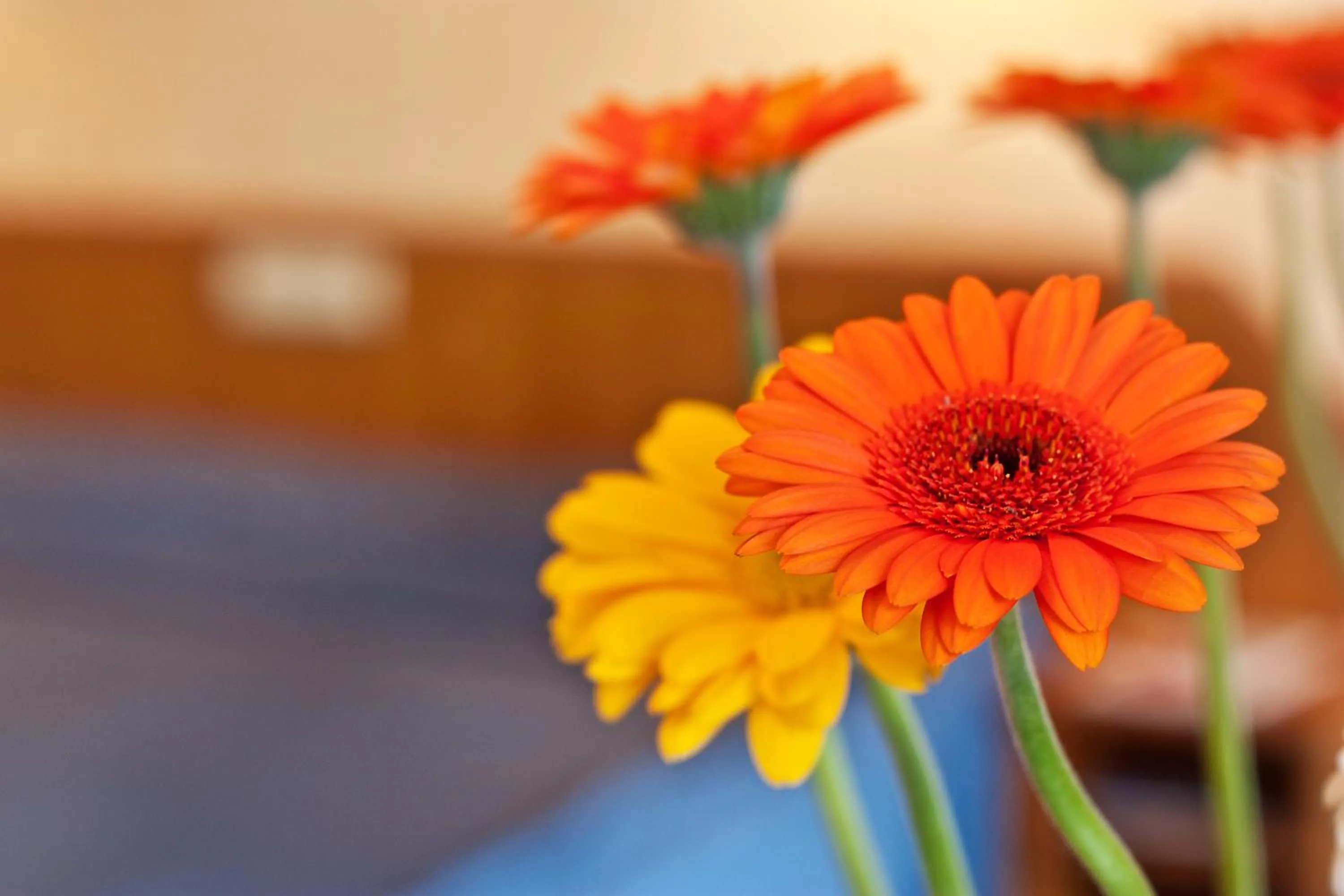 Decorative detail in Saint George Hotel & Medical Spa