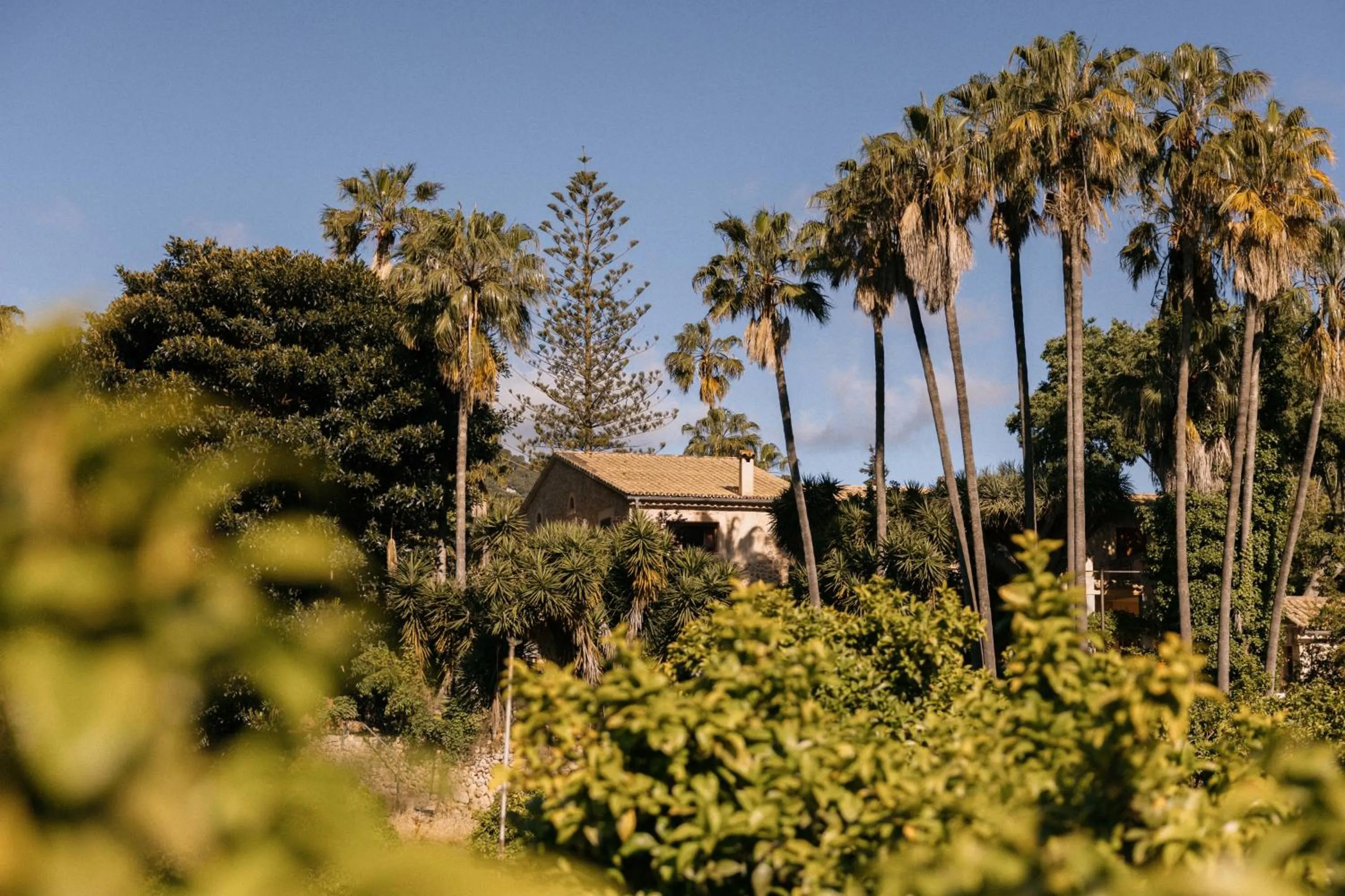 Property building in Agroturismo Son Galceran