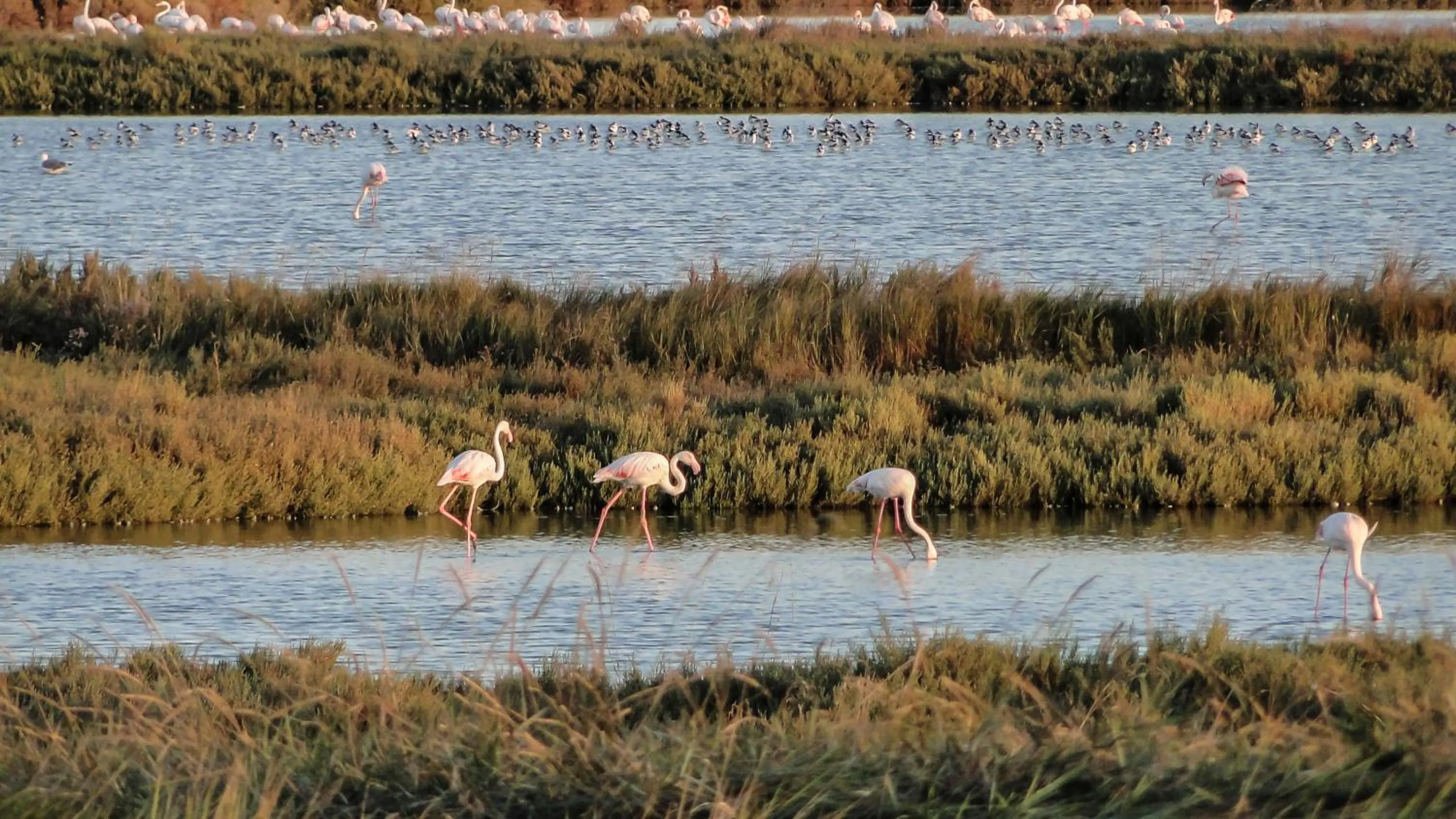 Spring in B&B ENSILEVA BEACH