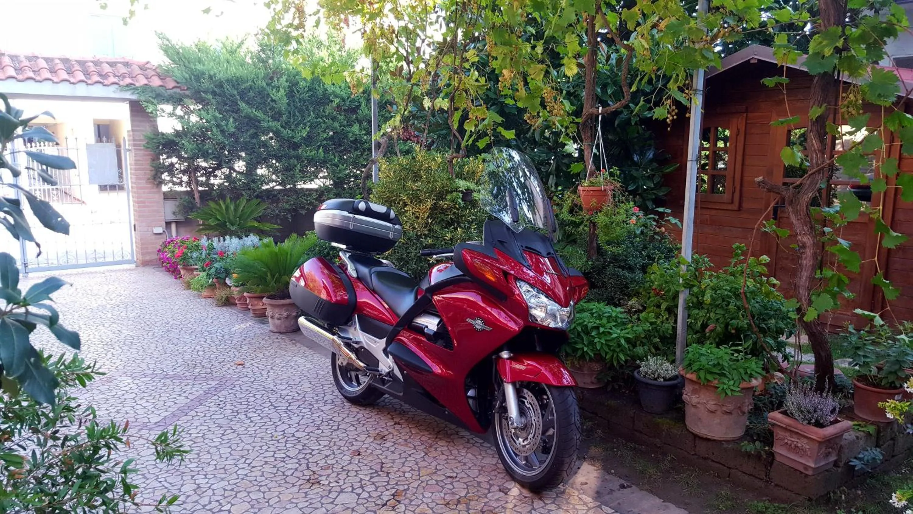 Garden in B&B ENSILEVA BEACH