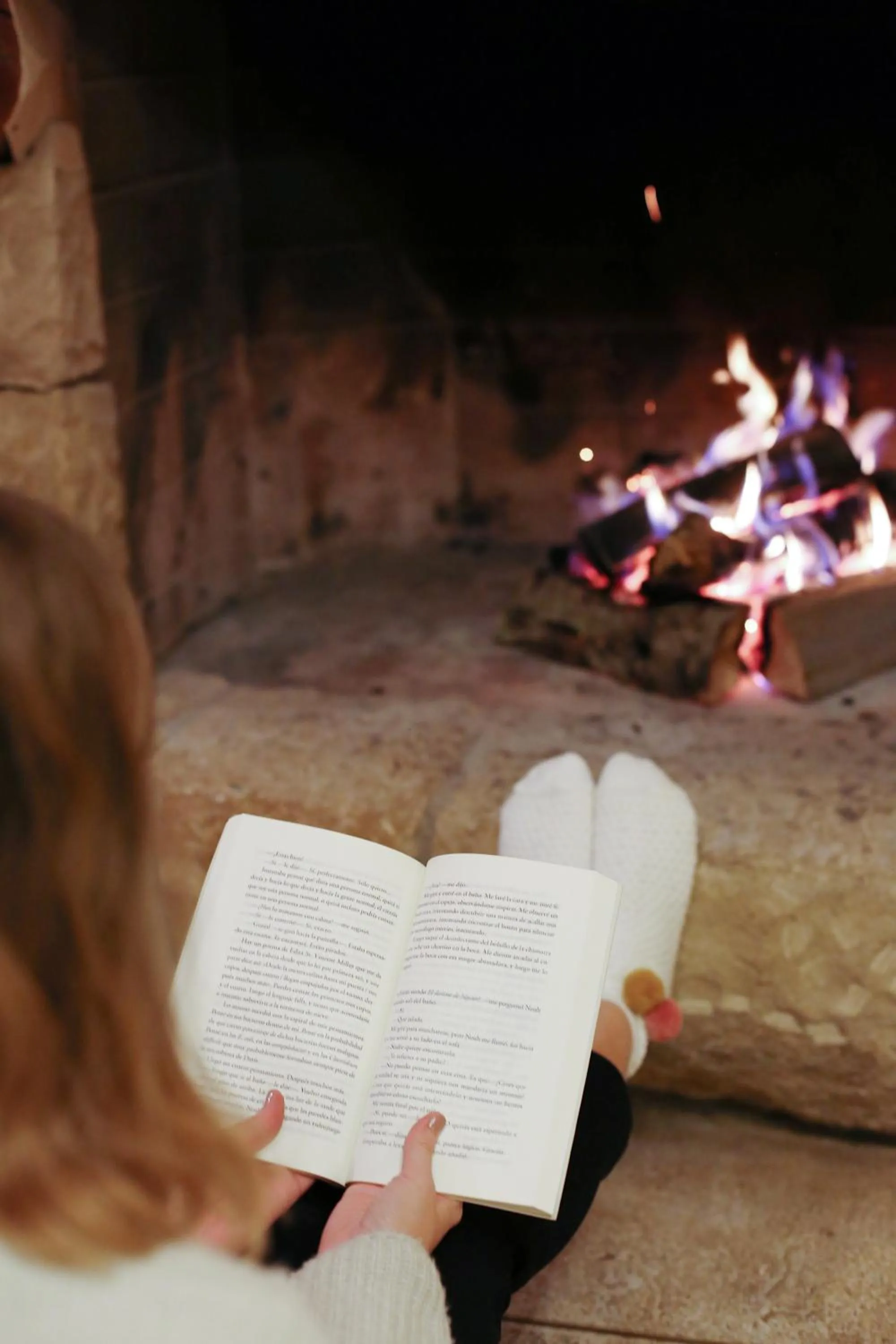 Living room in Peninsula Petit