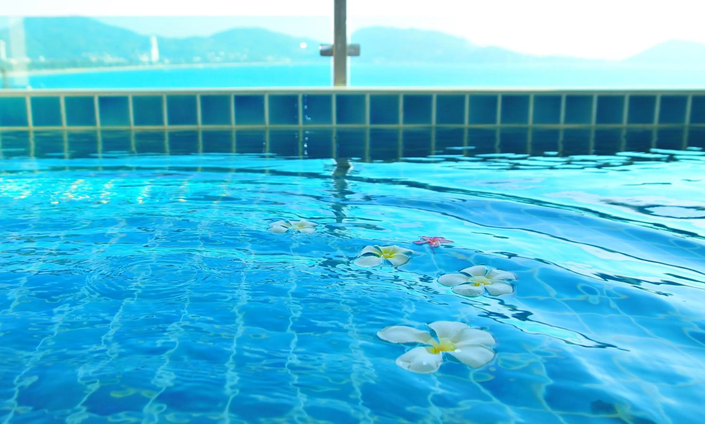 Swimming pool in The Baycliff Residences