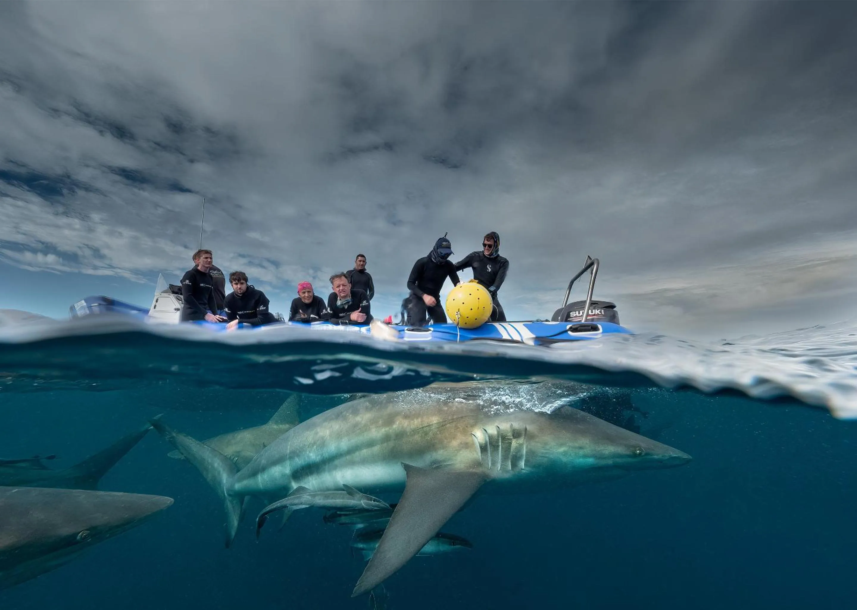 Activities in Blue Marlin All-Inclusive Seascape by Dream Resorts