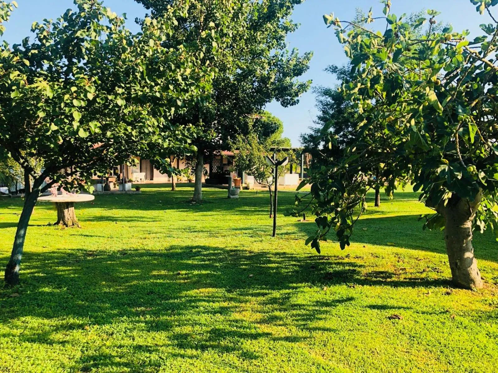 Day in Villa Isabella