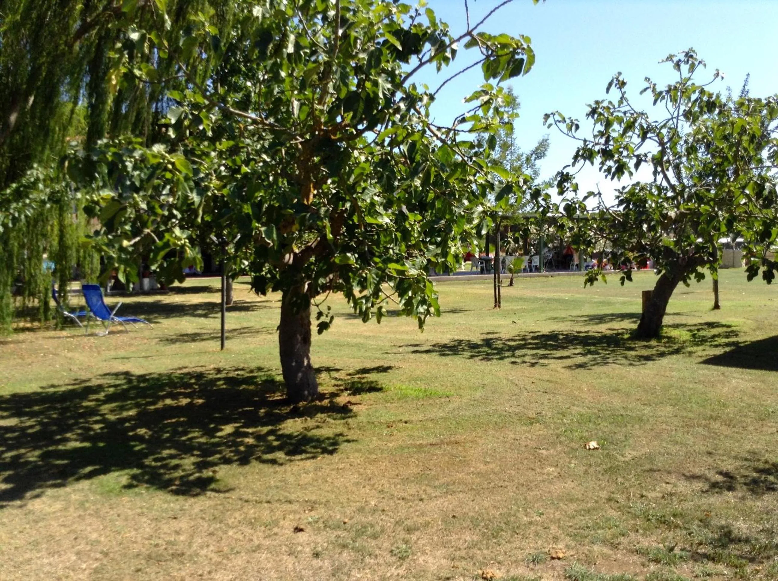 Day in Villa Isabella