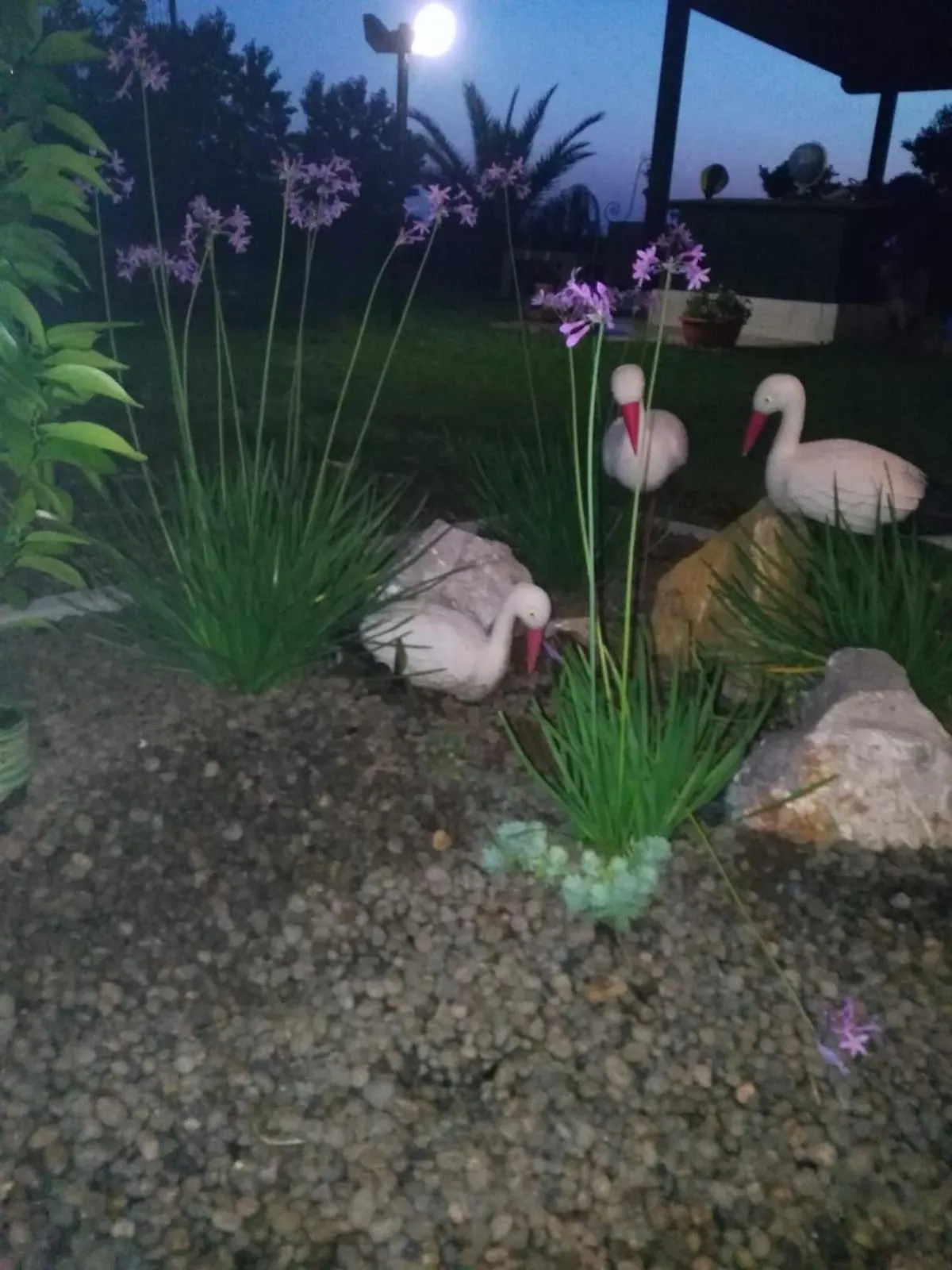 Night in Villa Isabella