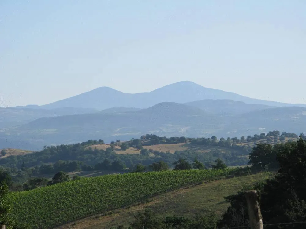 Natural landscape in Le Murelle Country Resort