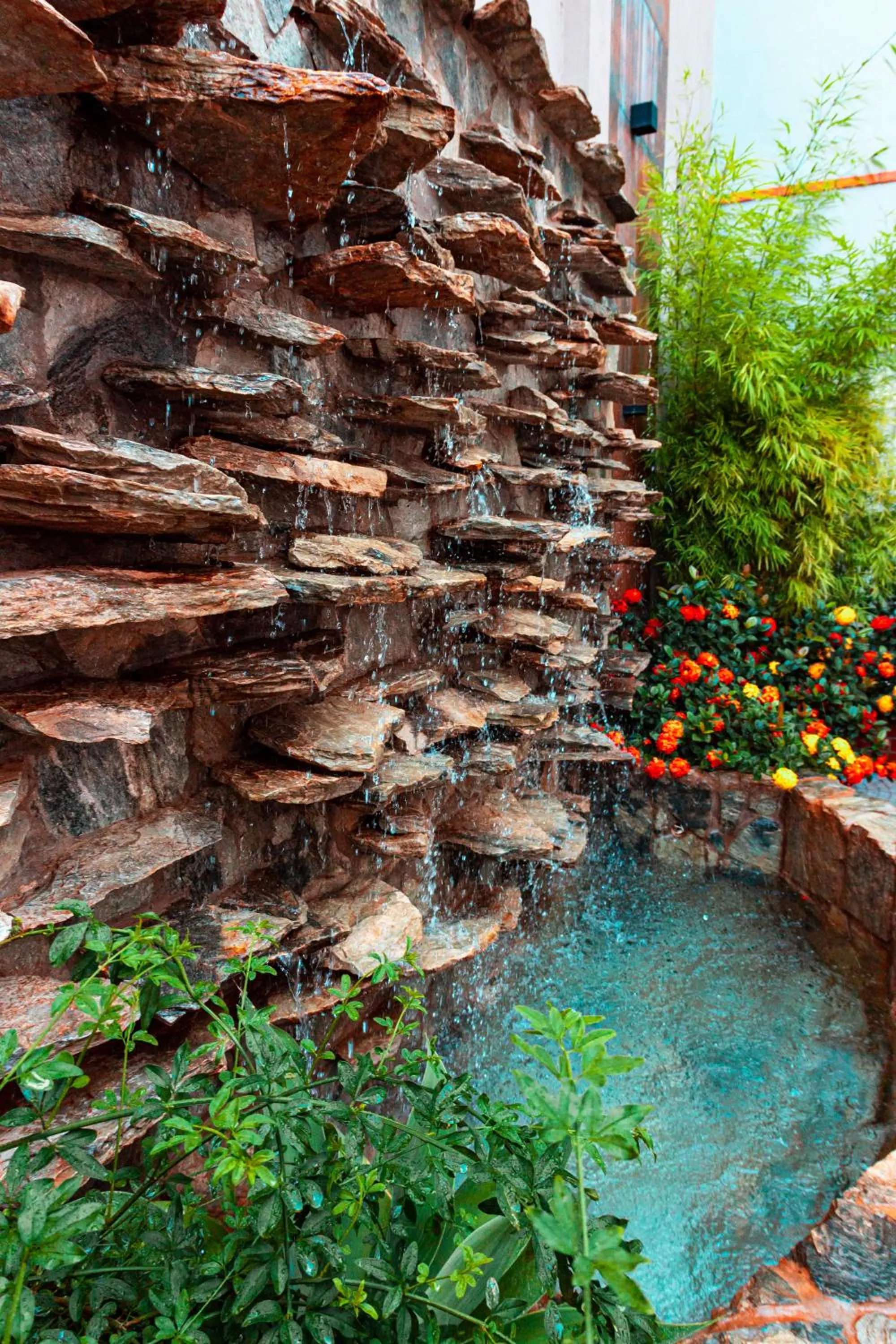 Garden in Nova Hotel