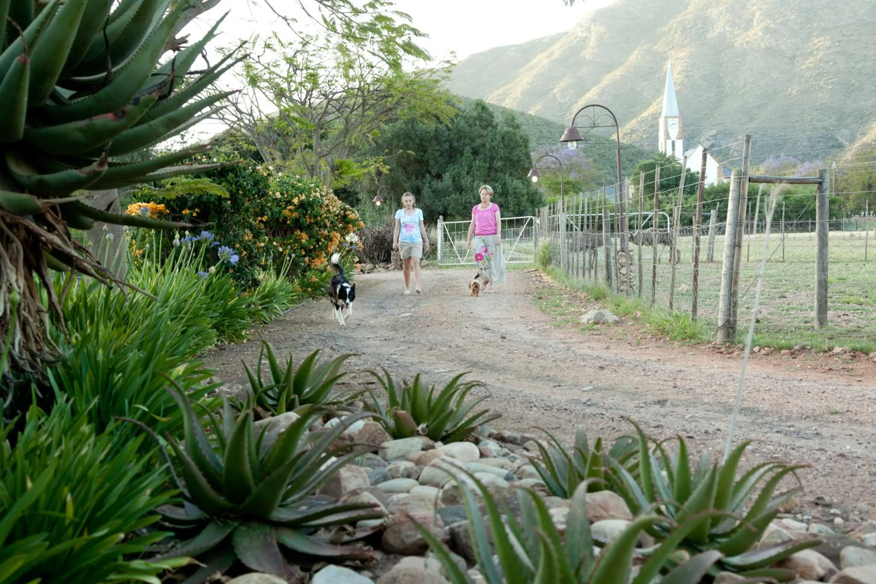 Facade/entrance in Die Fonteine Country Guesthouse and Glamping