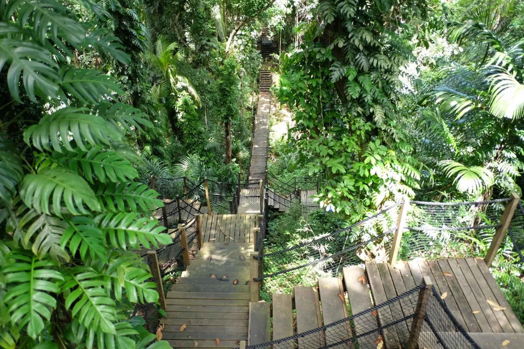 Natural landscape in Sabah Hotel