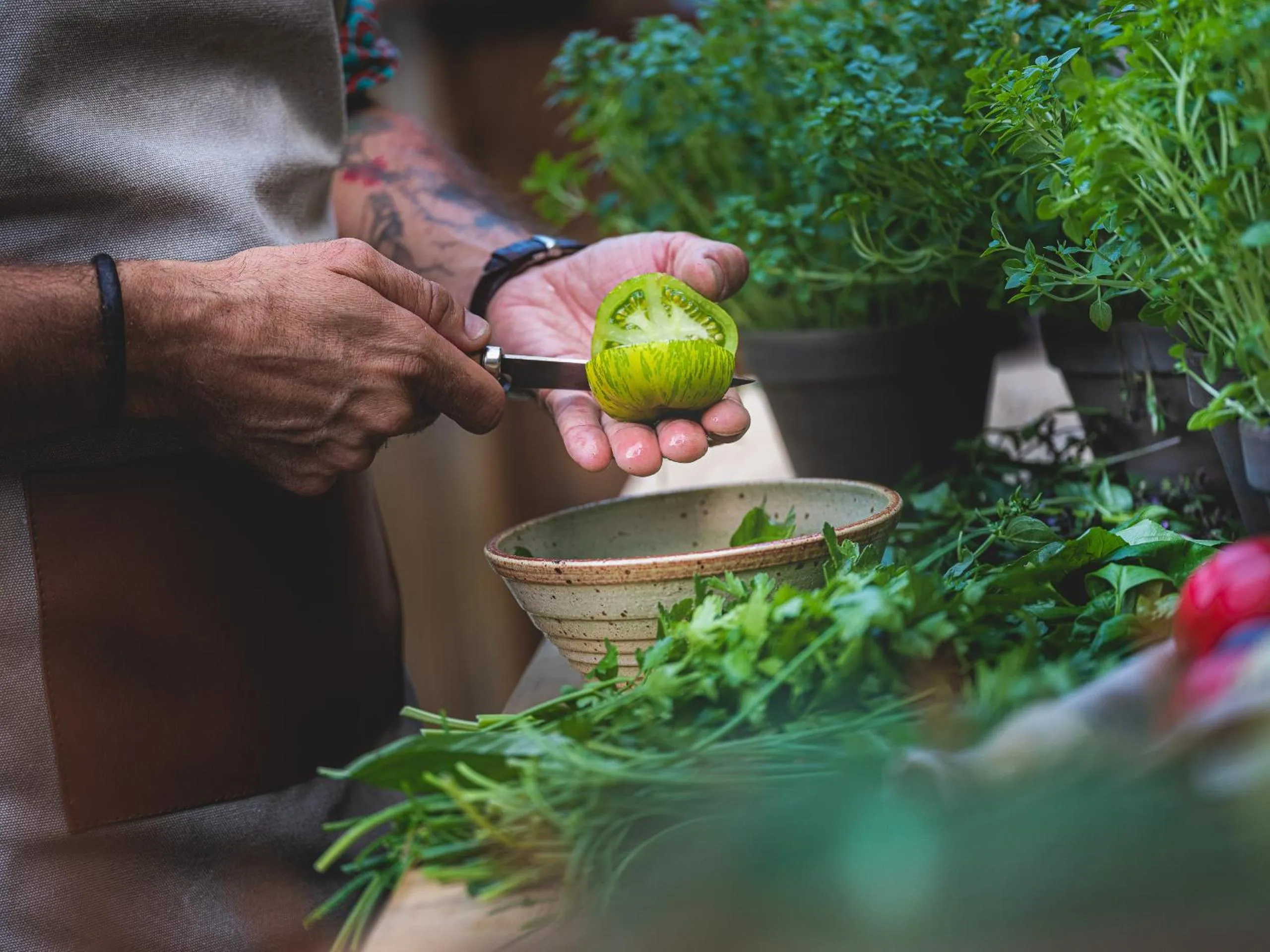Food and drinks in the rex