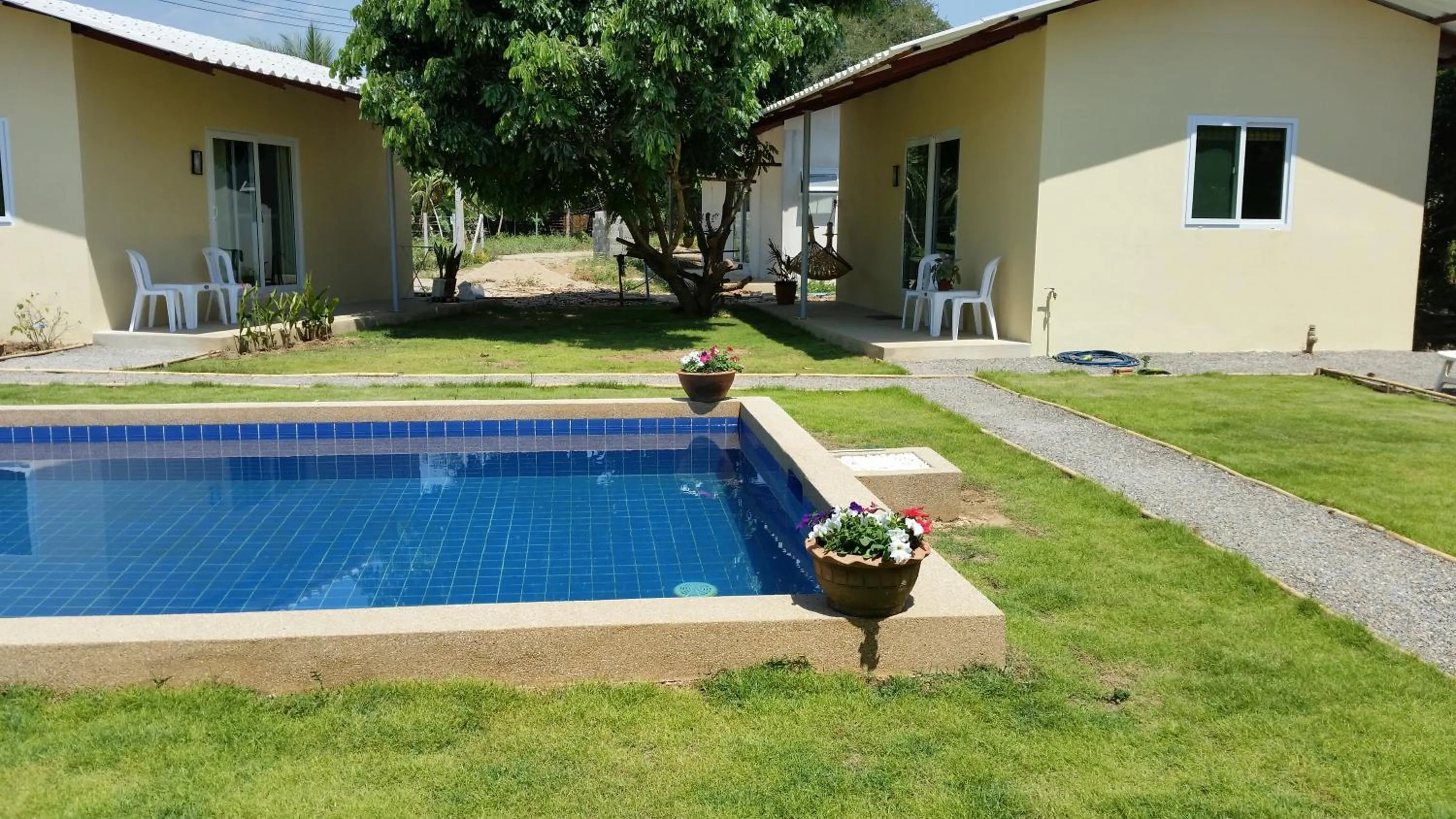 Garden in Longan Tree