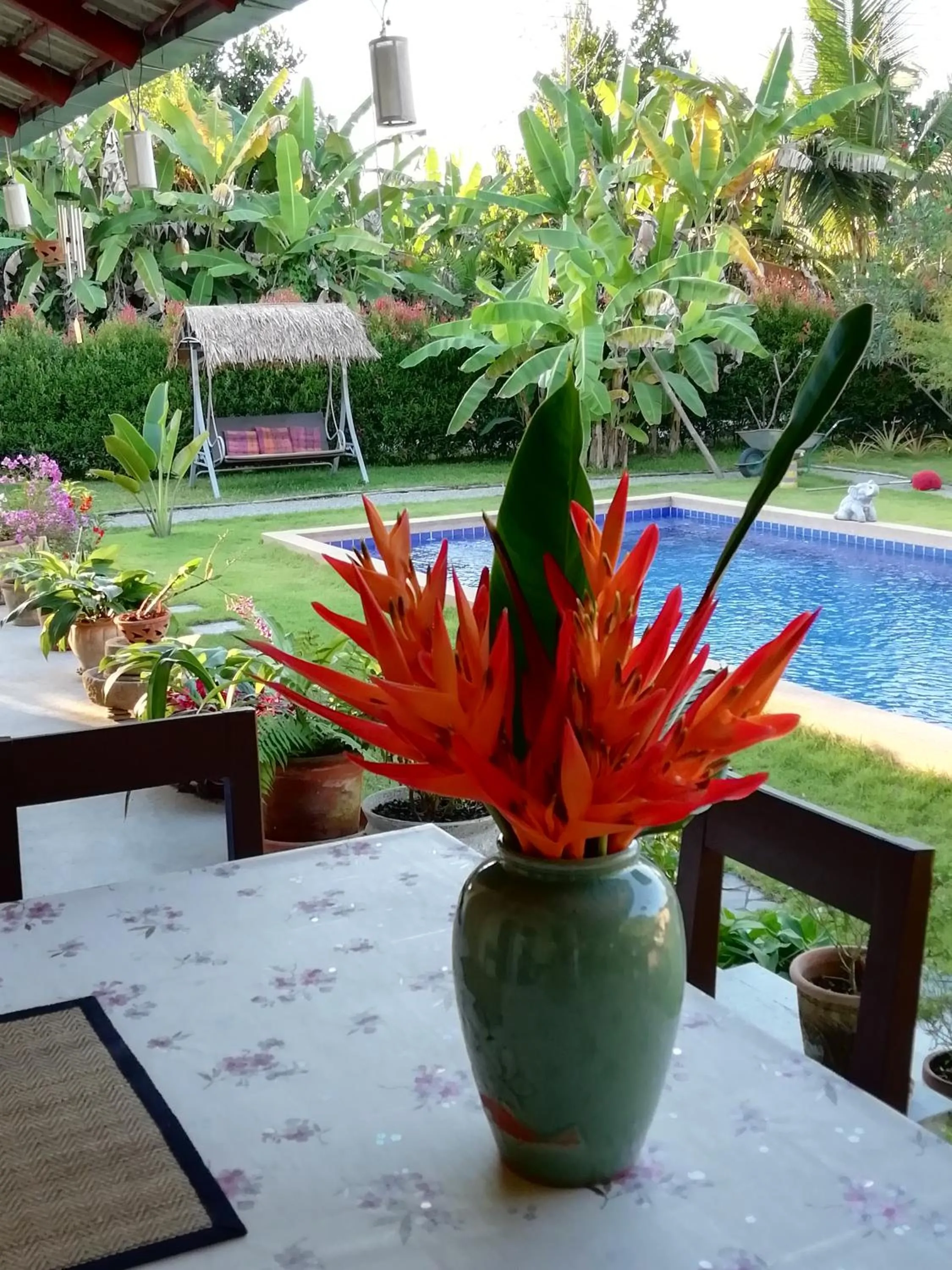 Balcony/Terrace in Longan Tree