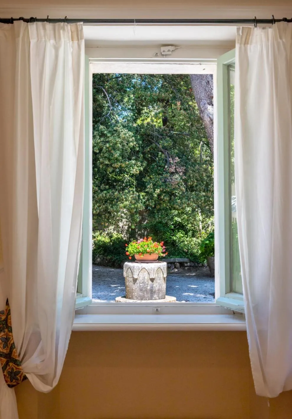 Garden view in Hotel Monteconero