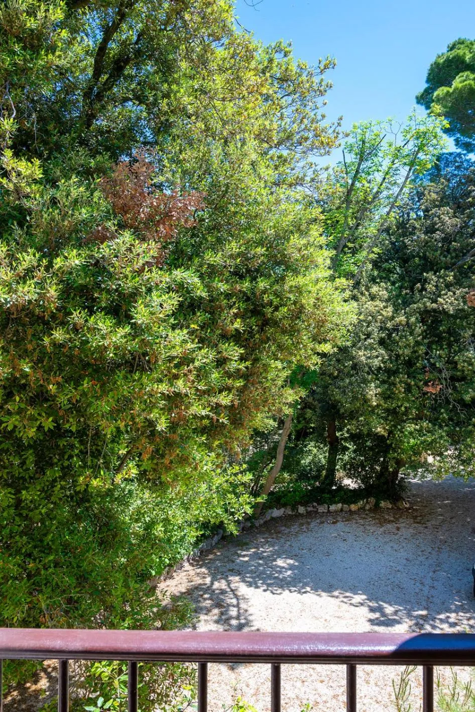 Natural landscape in Hotel Monteconero