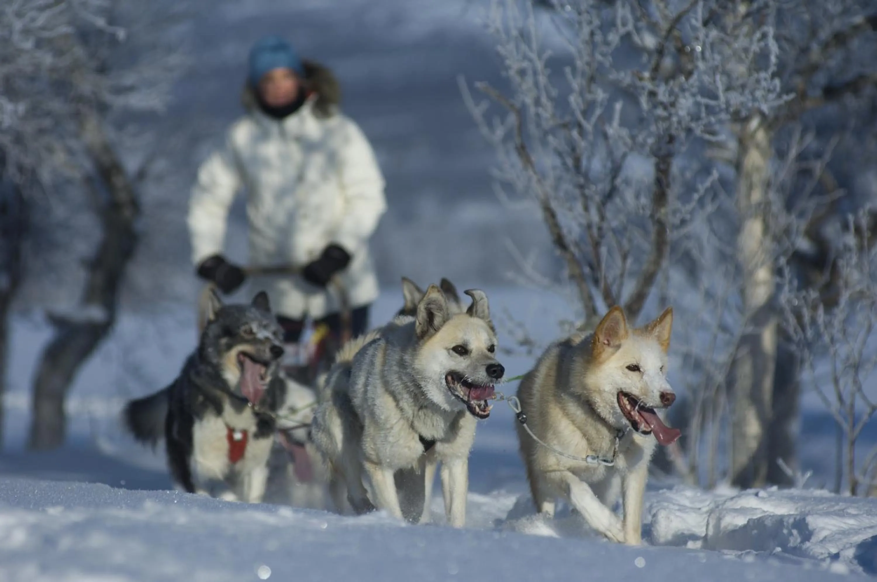 People in Vertshuset Røros